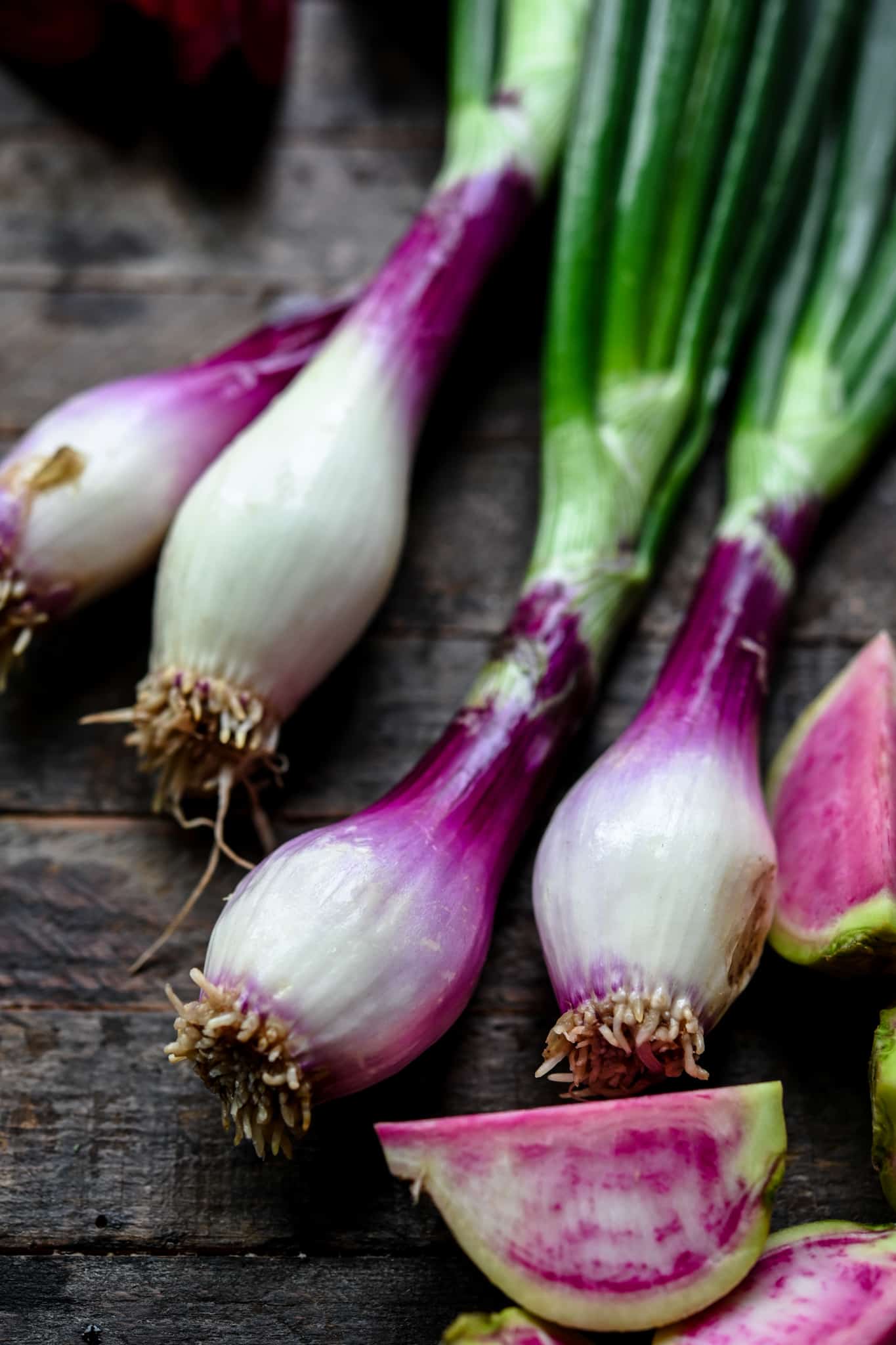 Close up of purple spring onions on wood background