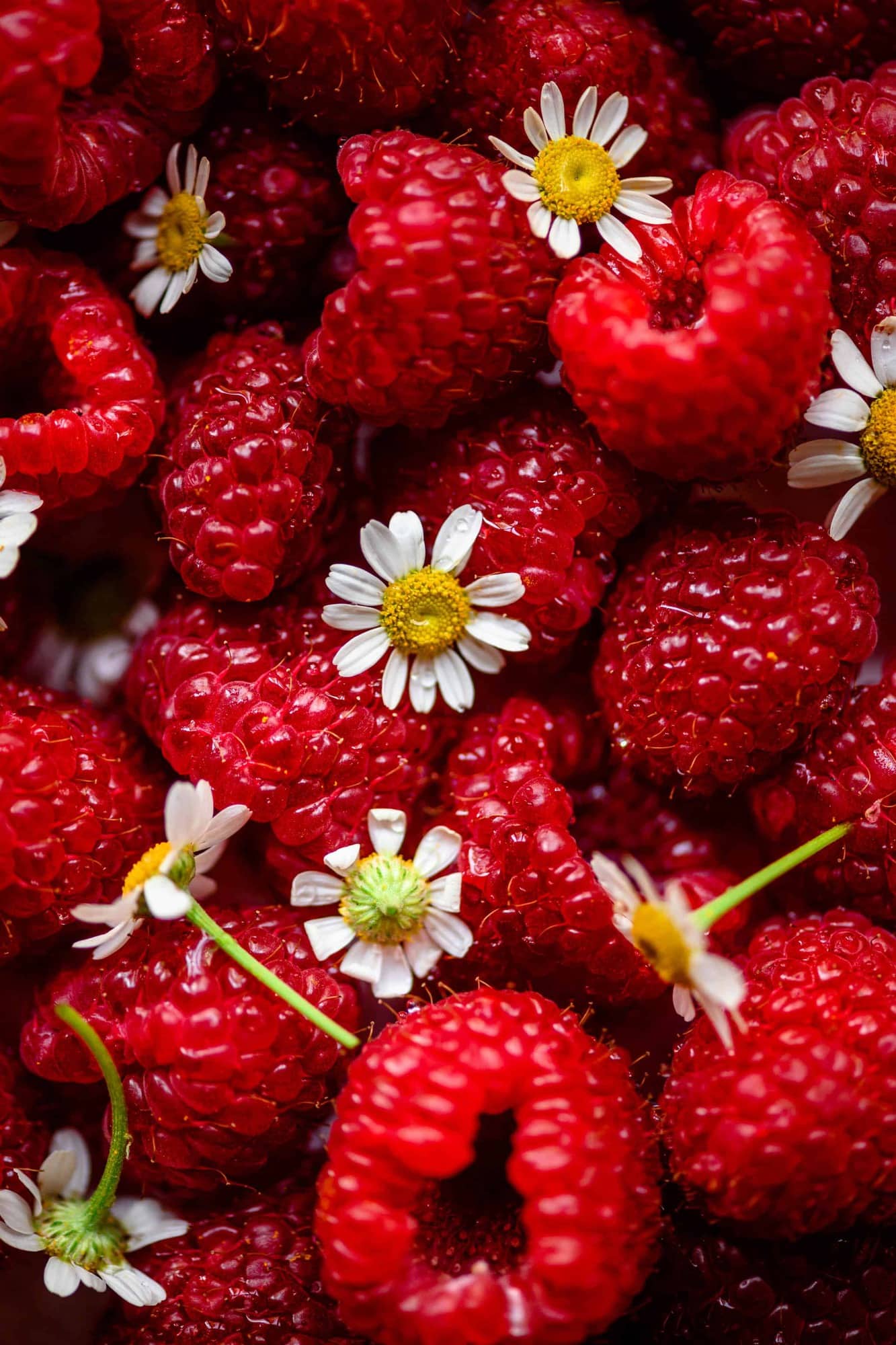 Overhead close up view of fresh raspberries and chamomile flowers