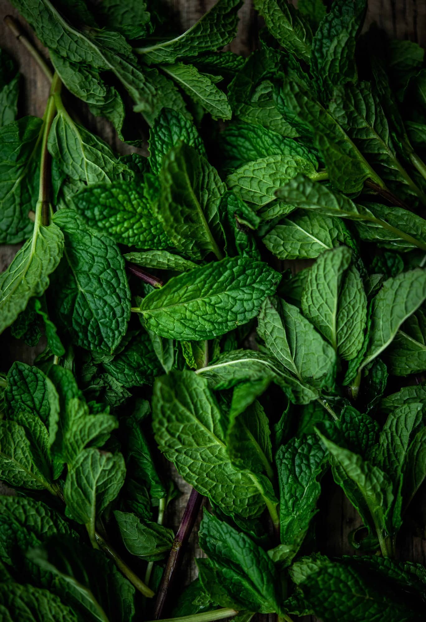 Overhead view of macro photography of fresh mint leaves