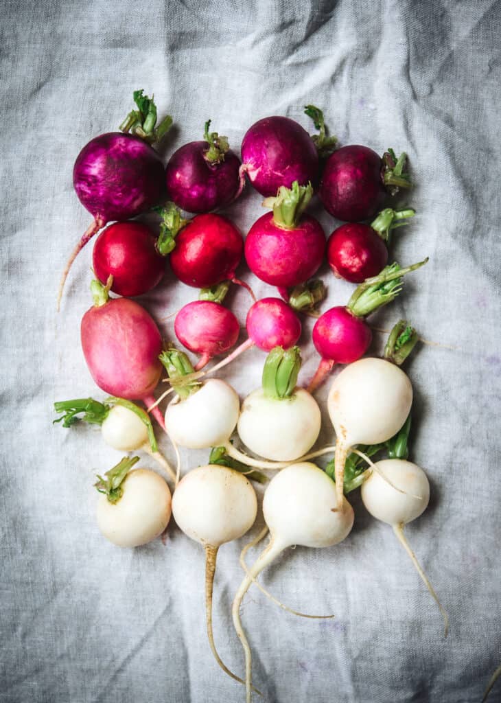 Overhead view of color gradient of Easter Egg radishes in purple, pink and white