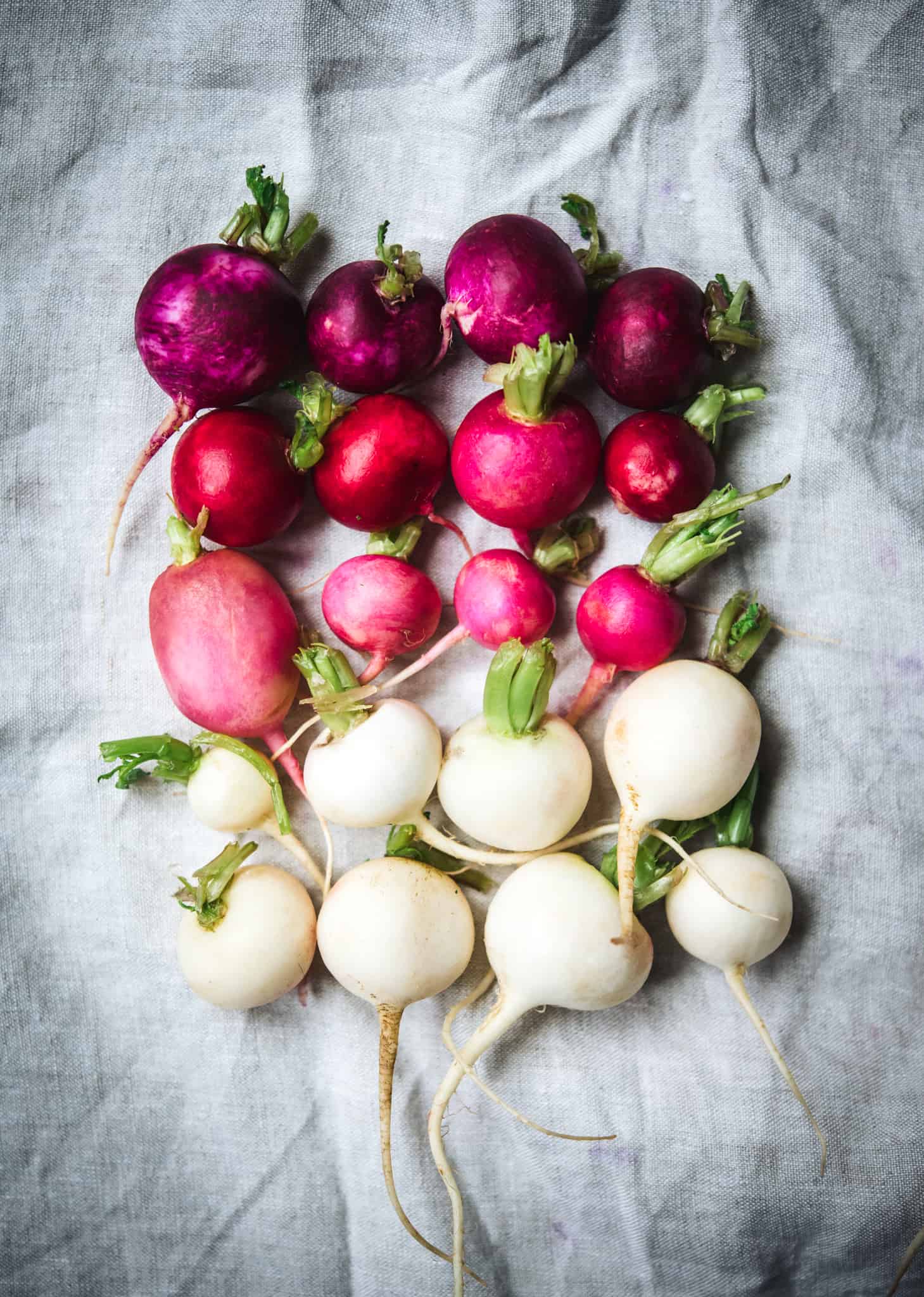 fresh radishes in varying colors