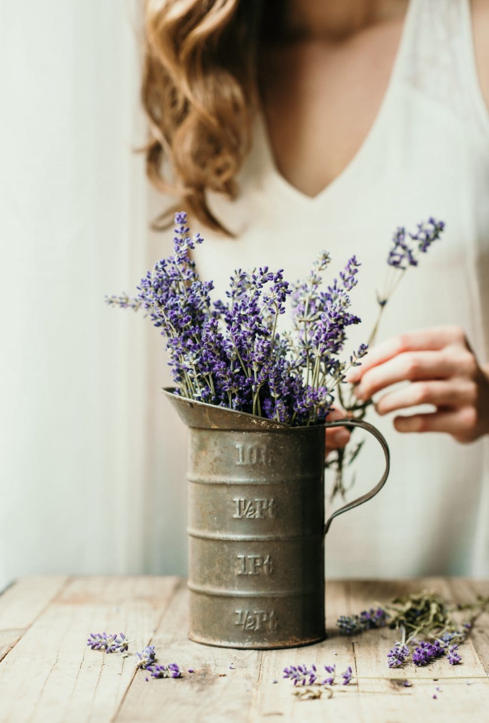 Fresh lavender in a tin pitcher with a person behind it