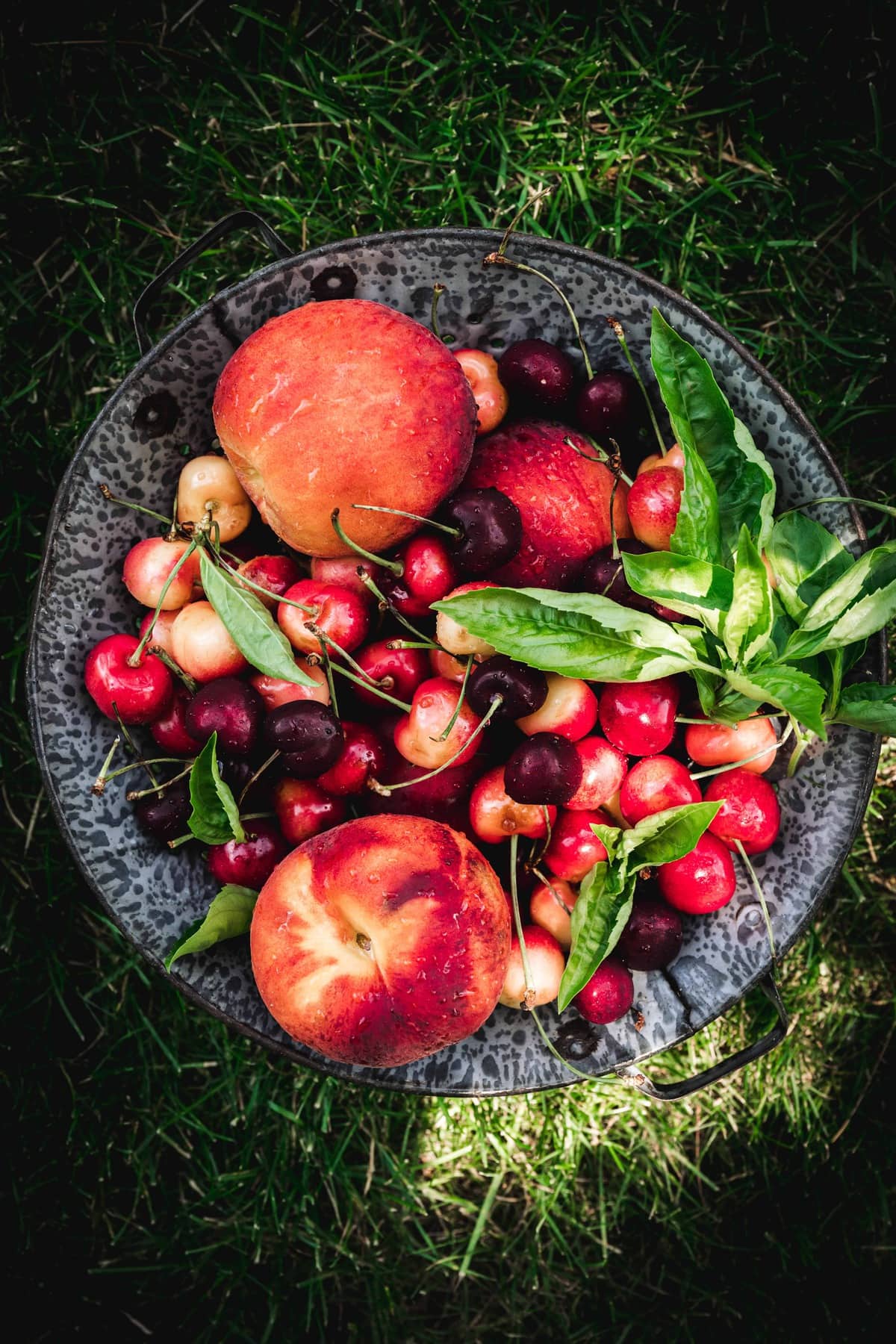 Overhead view of peaches, cherries and basil in bowl on grass