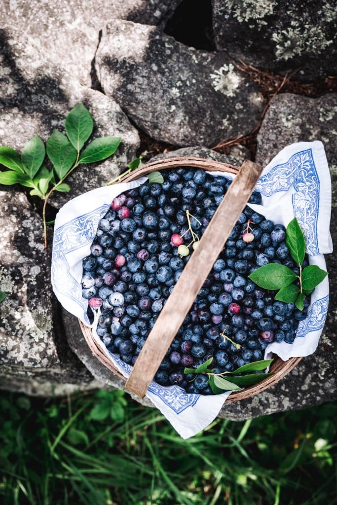 overhead view of blueberries in a basket on stone wall
