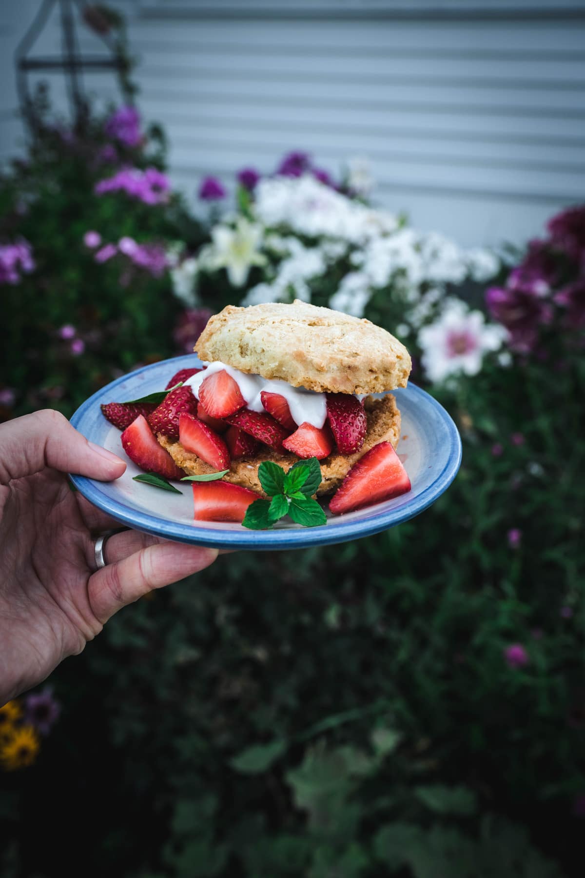 a person holding a plate of a vegan gluten free strawberry shortcake in front of a garden outdoors