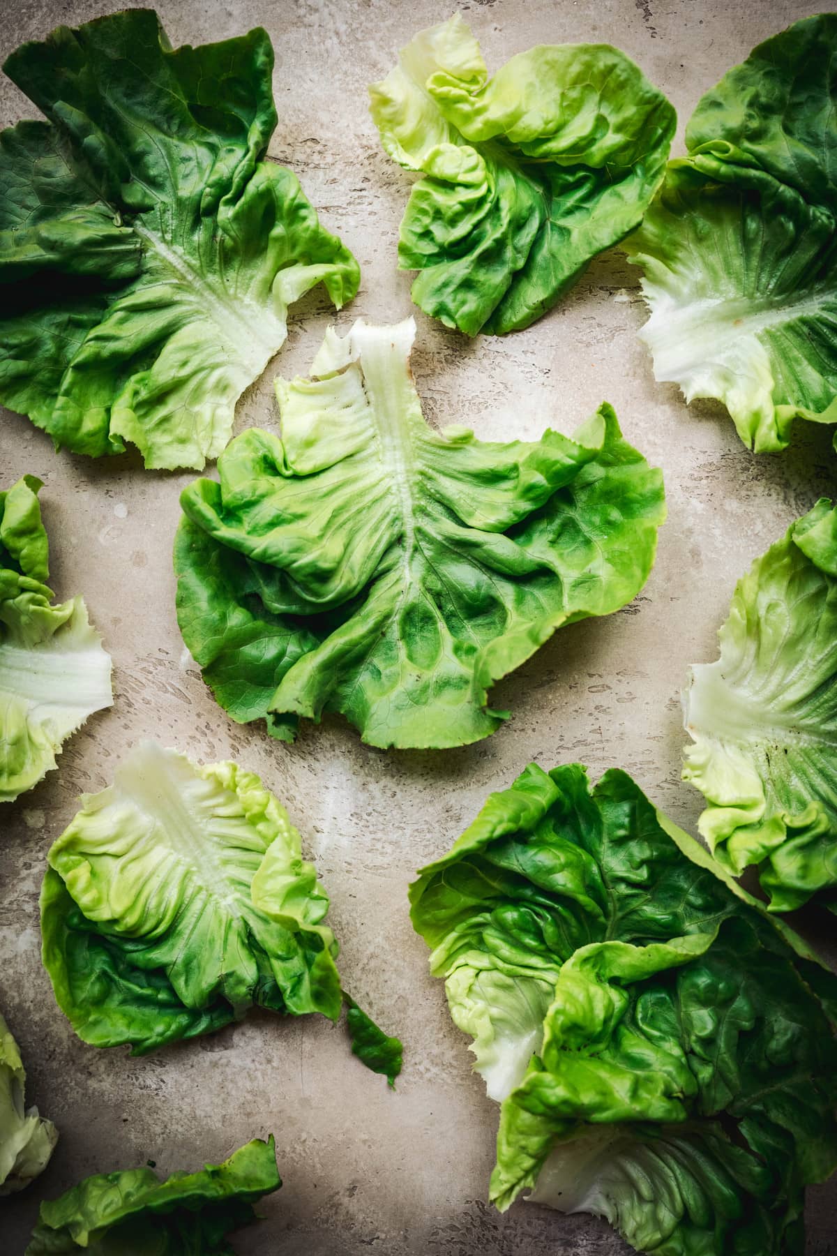 overhead of raw butter lettuce leaves on a work surface