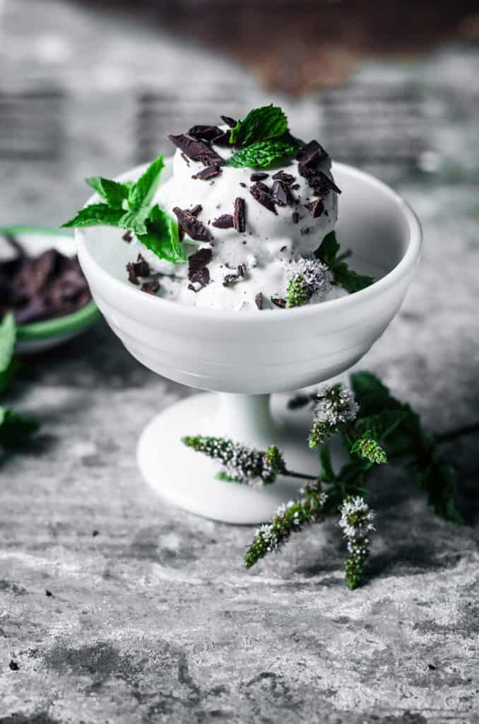 45 degree angle of vegan mint chocolate chip ice cream in a white dish with fresh mint