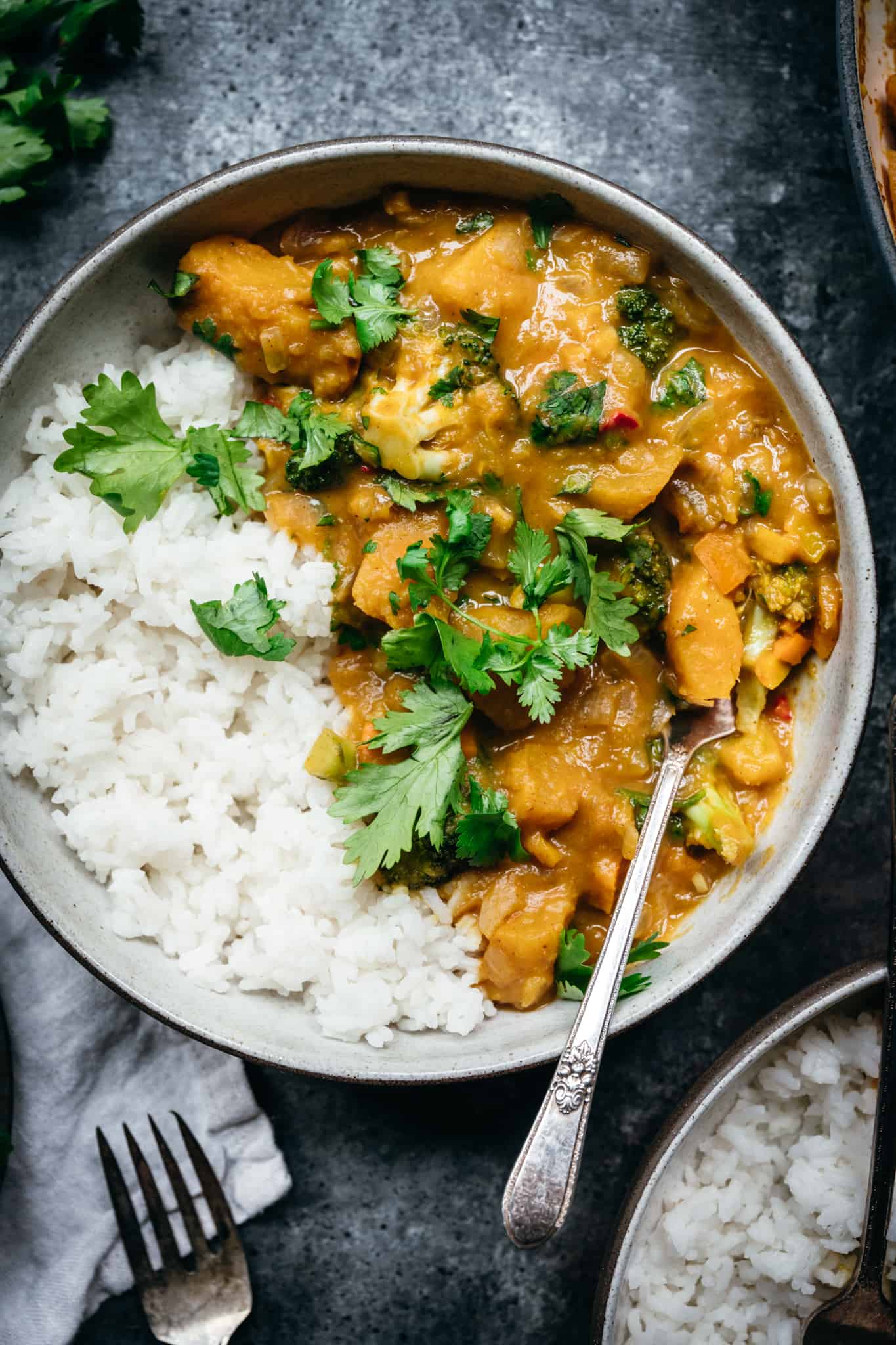 overhead of vegan pumpkin curry with steamed jasmine rice