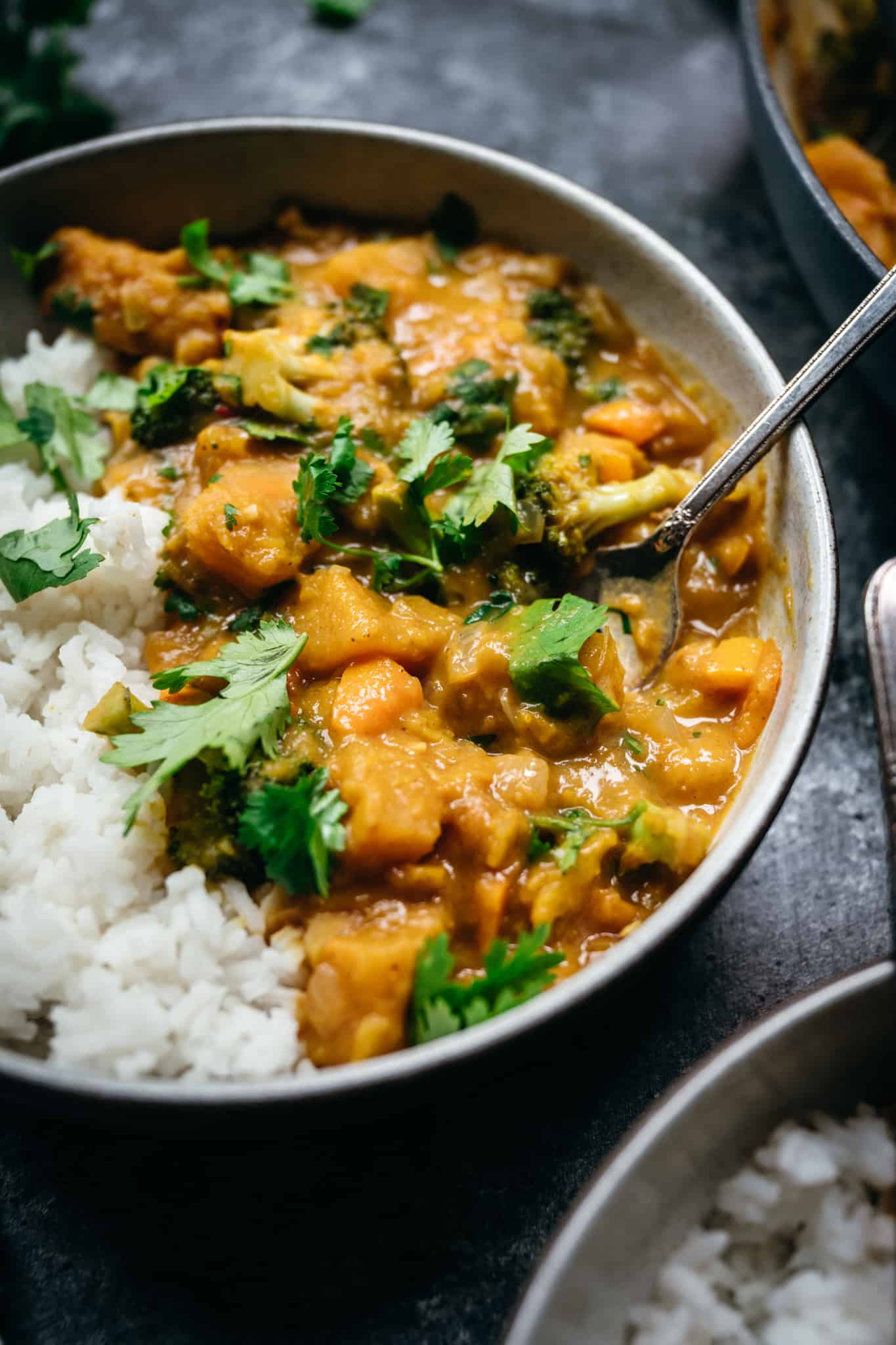 45 degree close up of vegan pumpkin curry with jasmine rice