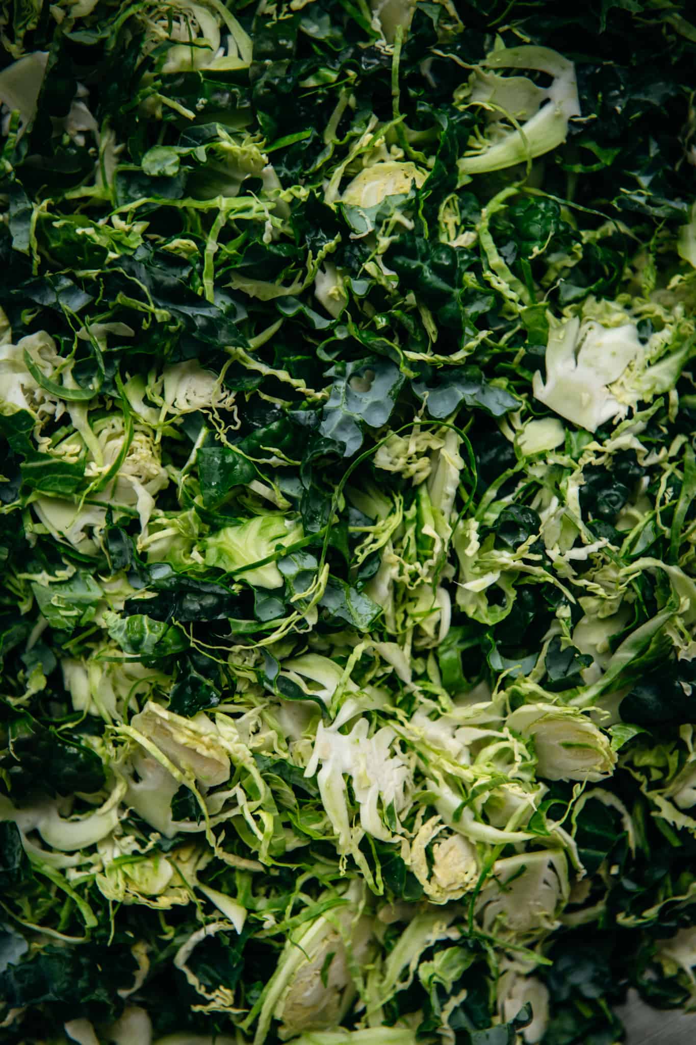 close up of shaved raw brussels sprouts