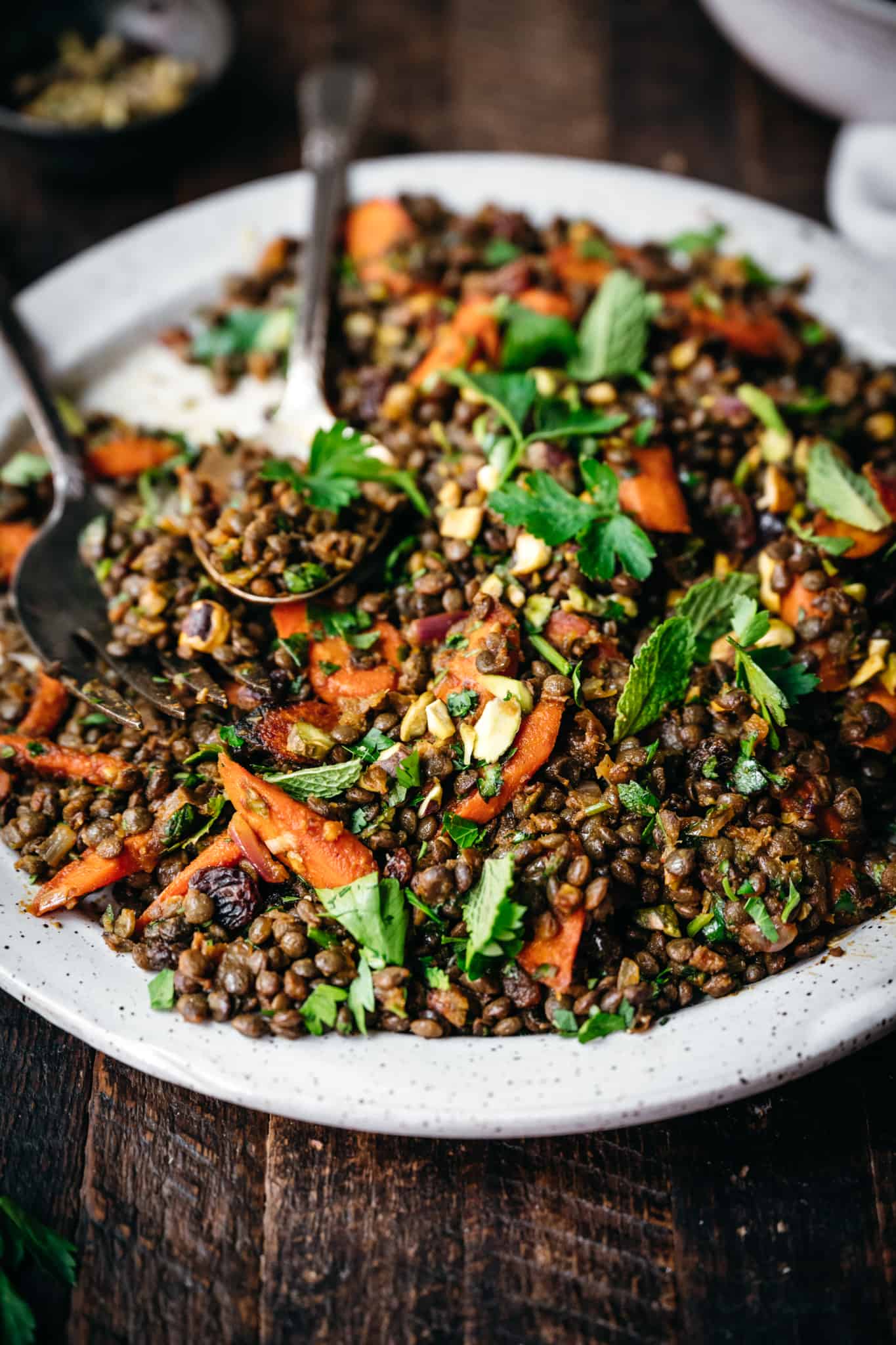 close up side view of moroccan lentil salad on white plate