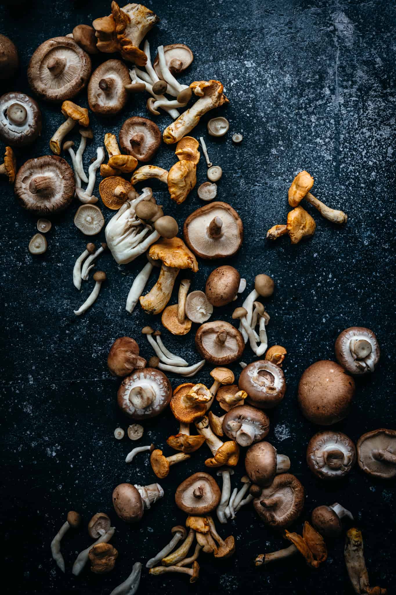 overhead view of beautiful wild mushrooms on dark surface