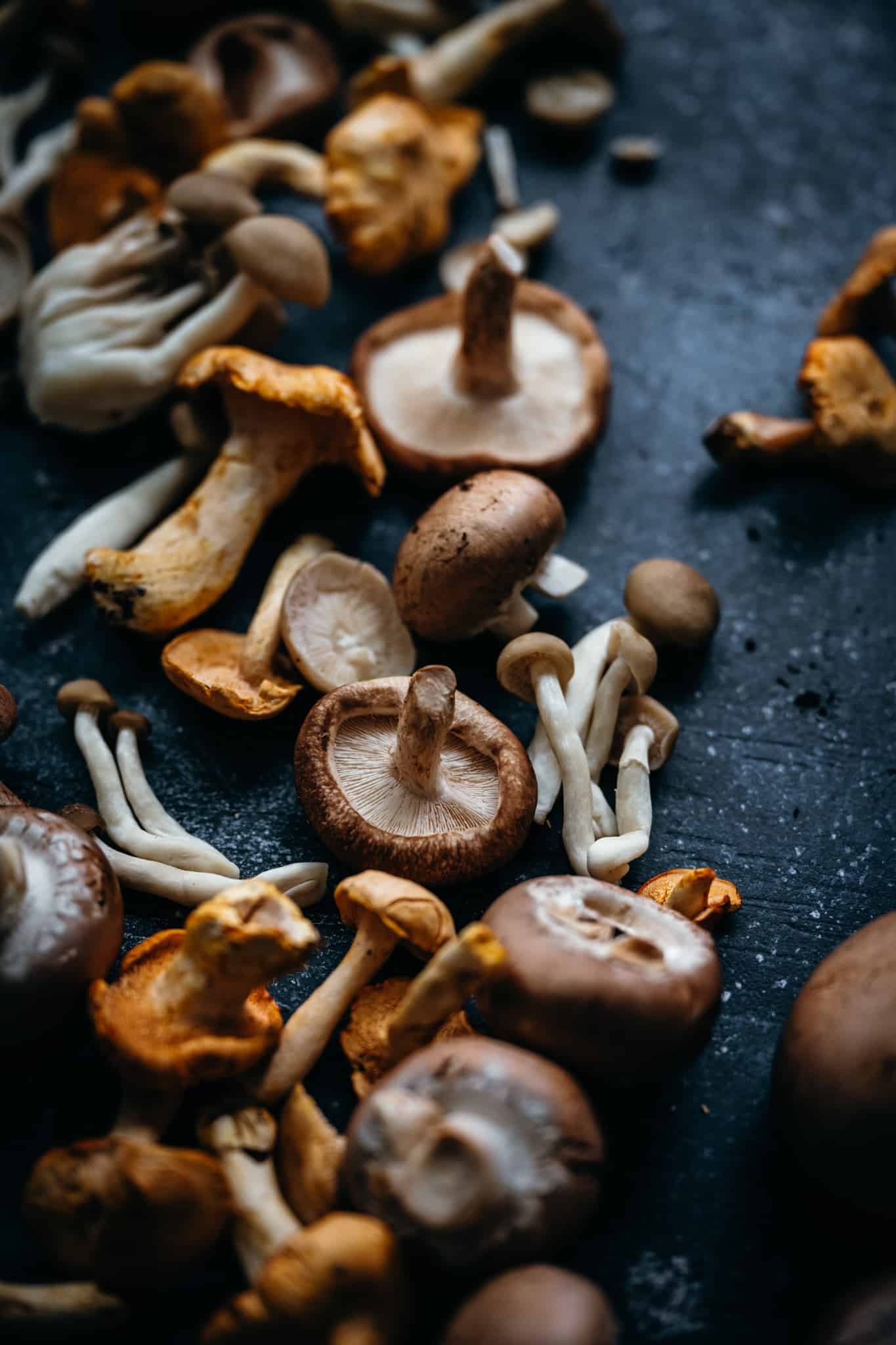 close up of fresh wild mushrooms on a dark blue background