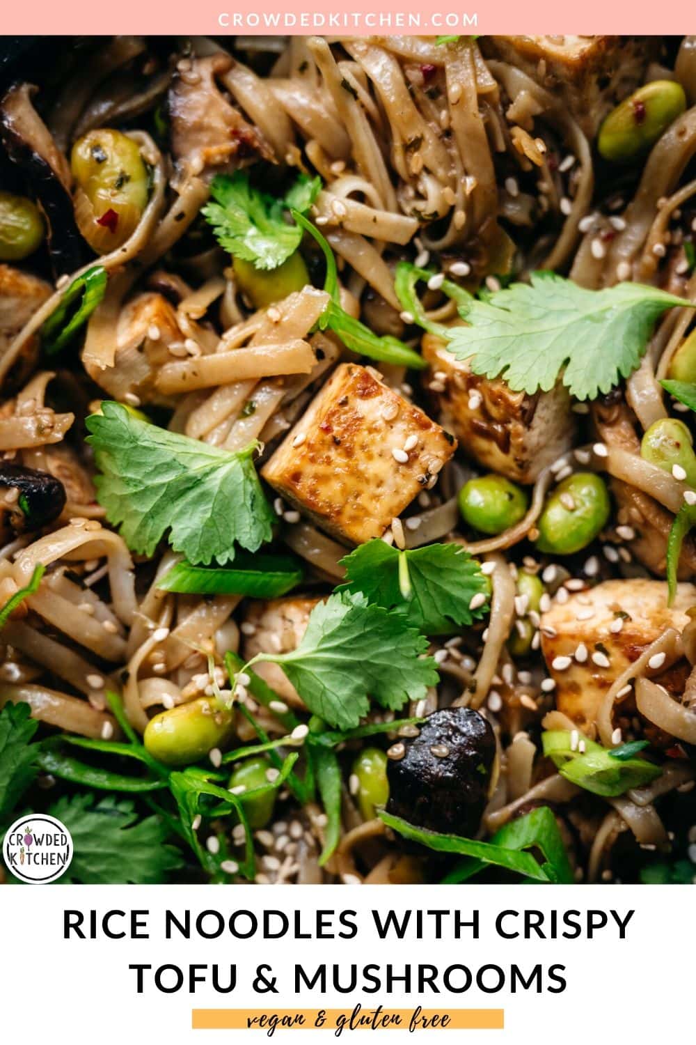 Vegan Rice Noodles with Crispy Tofu and Mushrooms - Crowded Kitchen