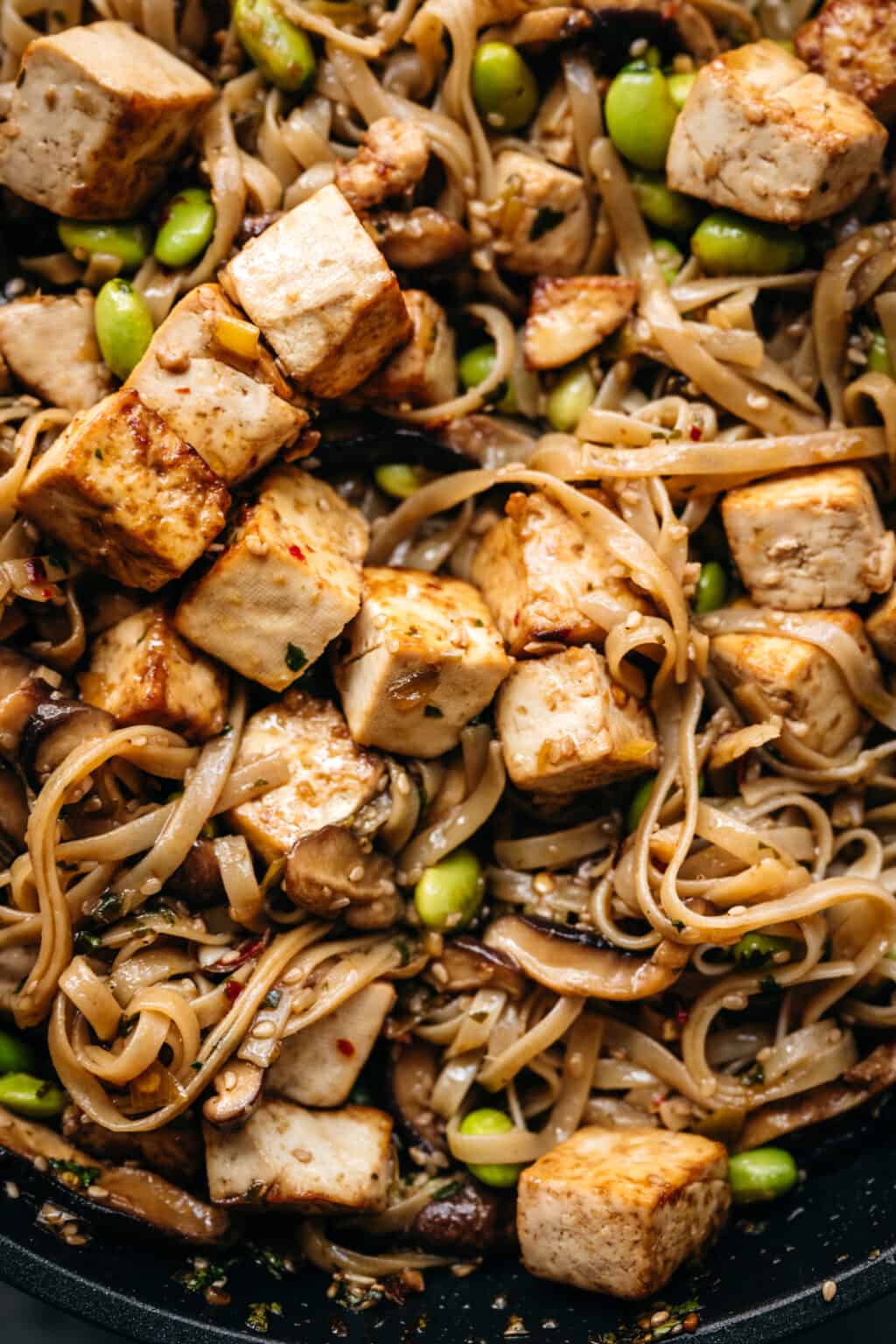 Vegan Rice Noodles with Crispy Tofu and Mushrooms - Crowded Kitchen
