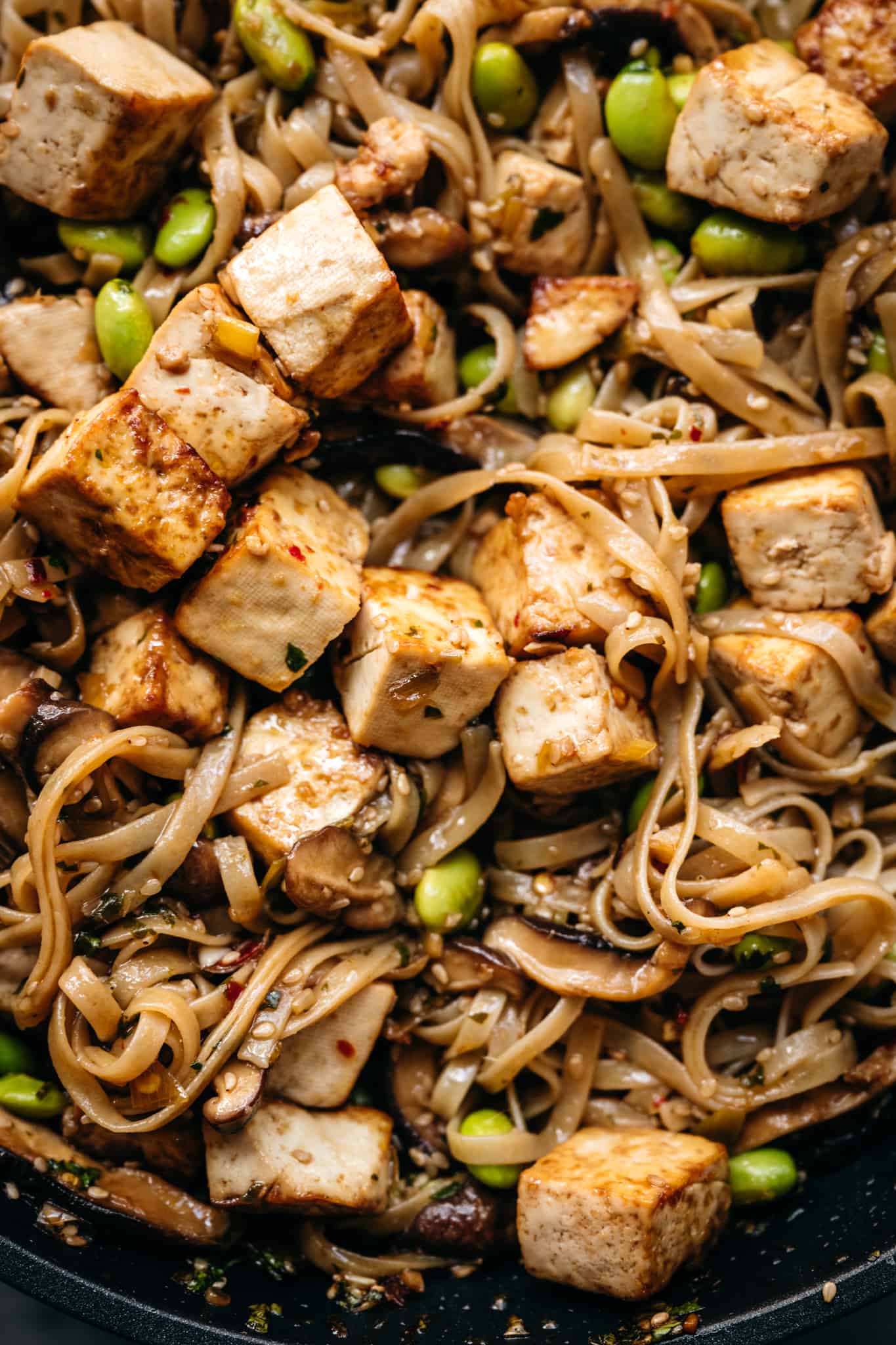 close up view of crispy tofu with rice noodles