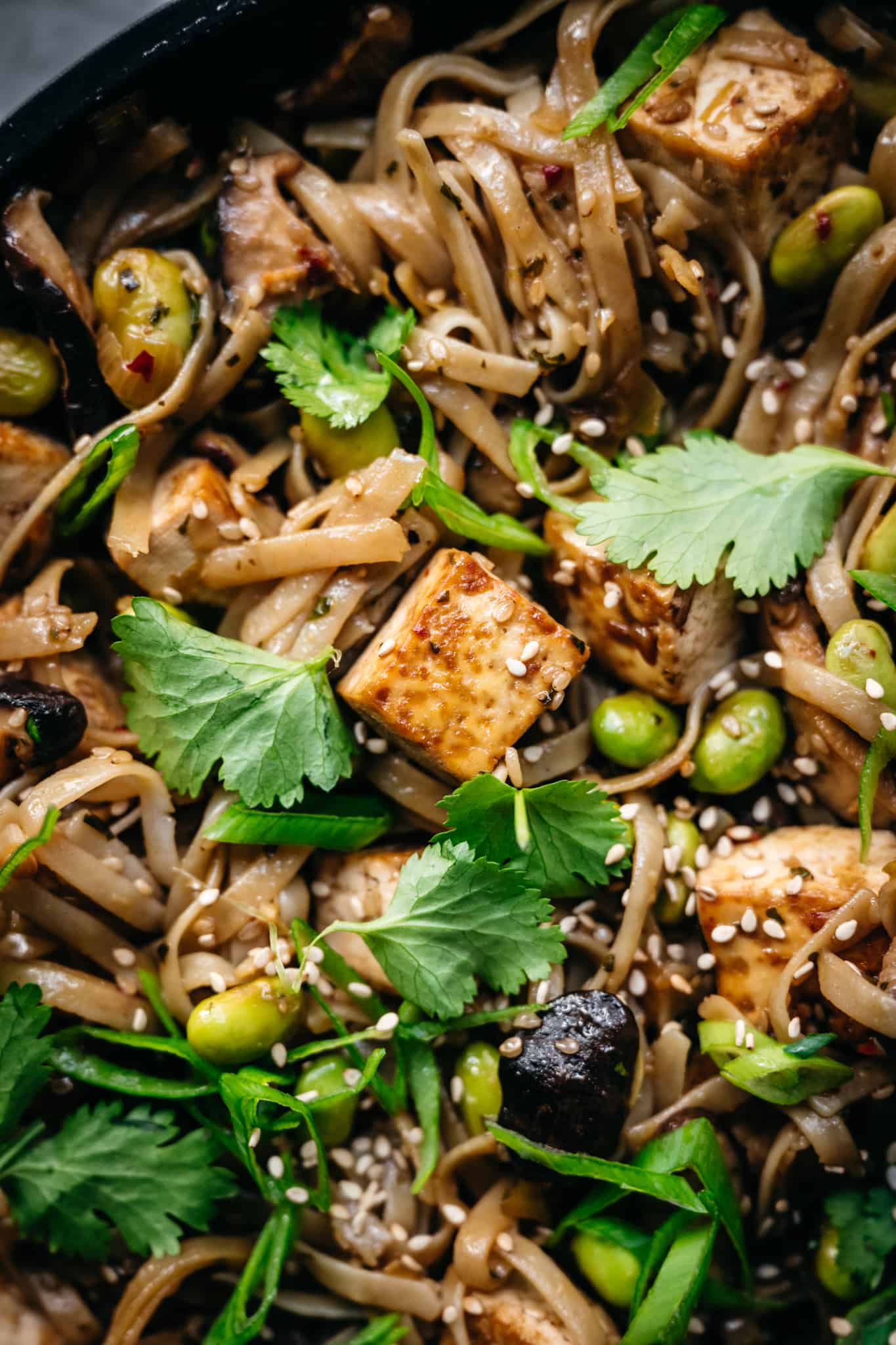 close up view of crispy tofu with rice noodles