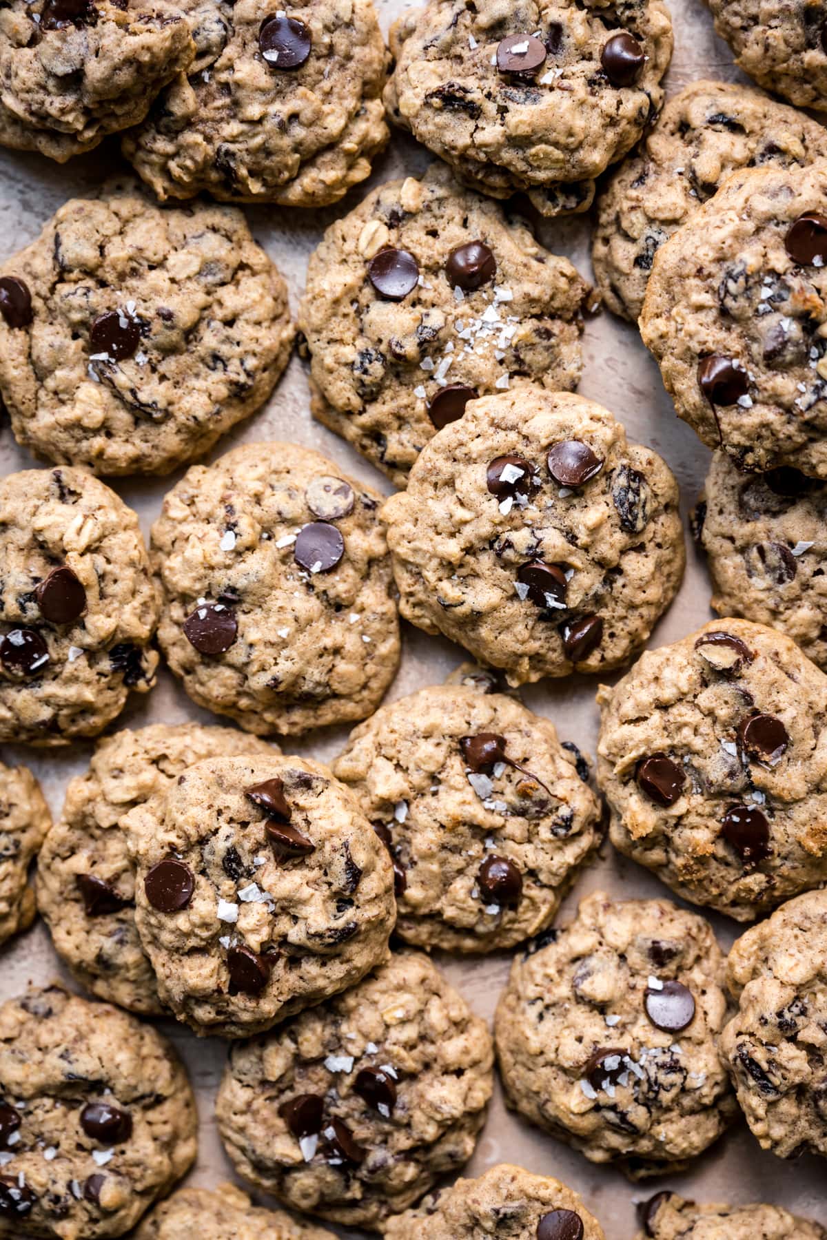 overhead view of gluten free vegan oatmeal raisin cookies on sheet pan