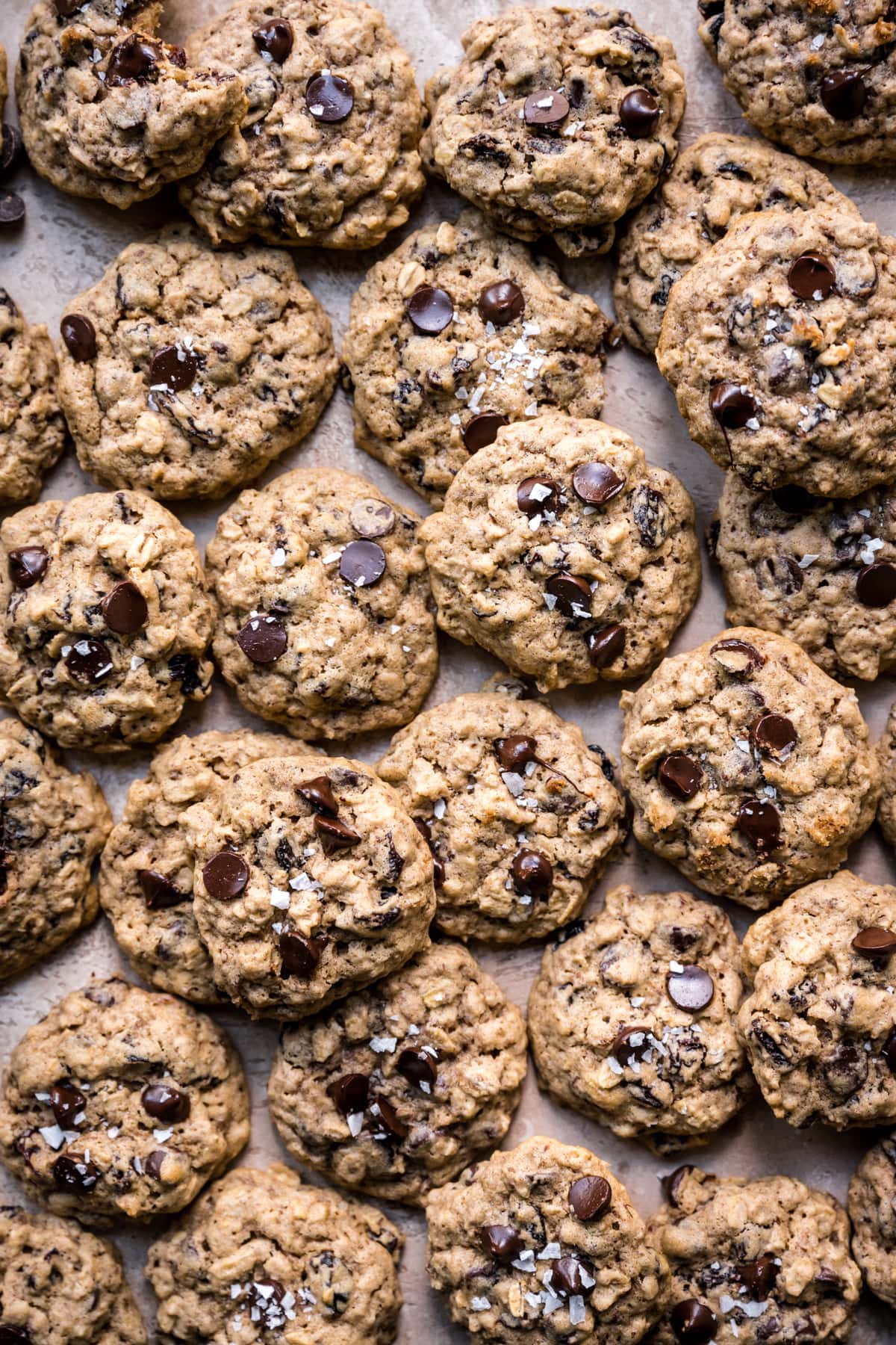 overhead view of gluten free vegan oatmeal raisin chocolate chip 
cookies on sheet pan