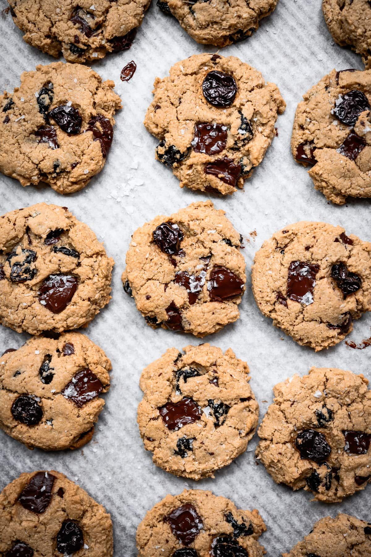 overhead view of vegan dark chocolate cherry oatmeal cookies