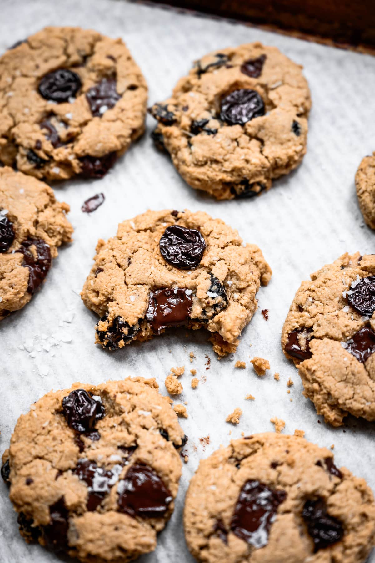 close up view of chocolate chip cherry cookie