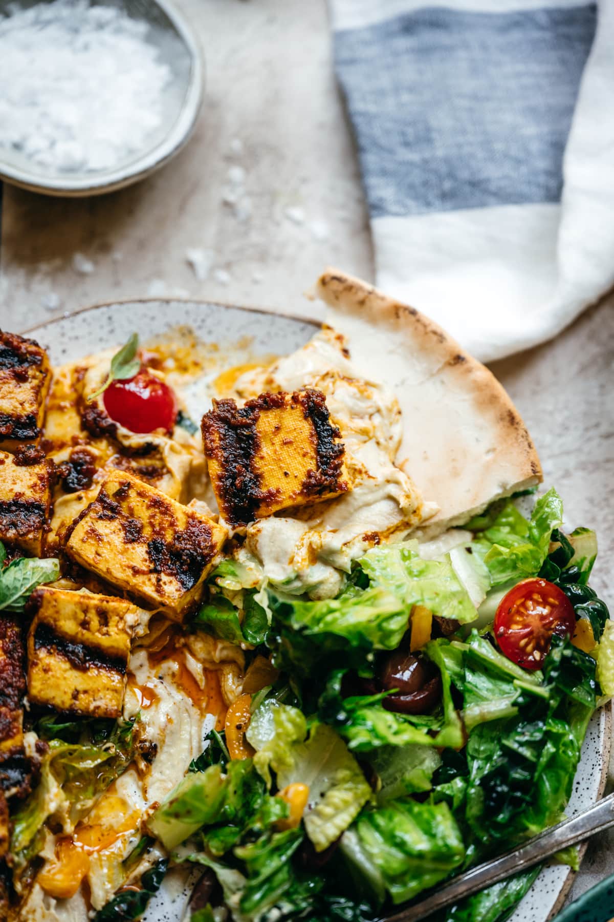 Close up view of grilled tofu with hummus and pita