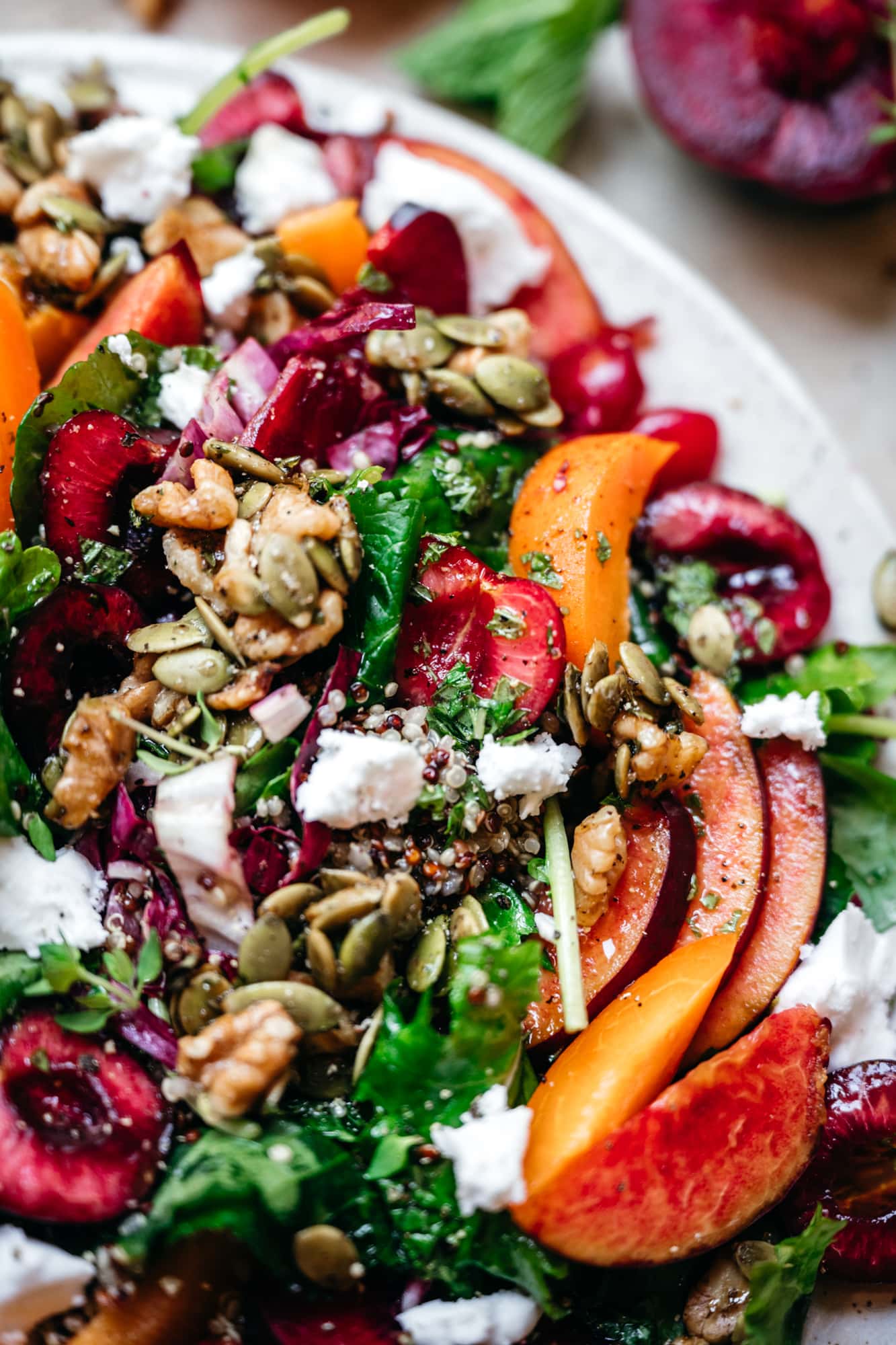 close up view of stone fruit salad