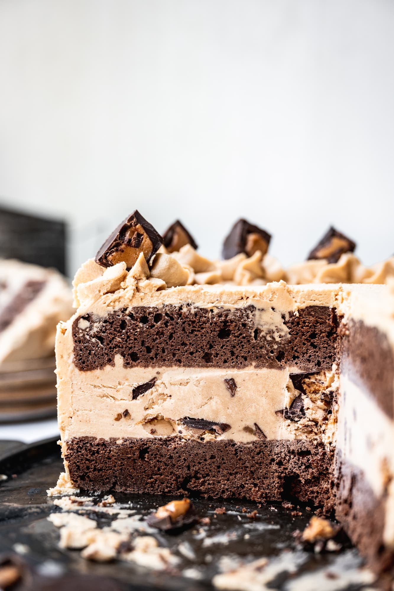 side view of cross section of chocolate peanut butter ice cream cake