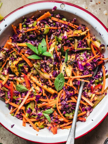 overhead view of Rainbow Vegetable Summer Slaw in bowl