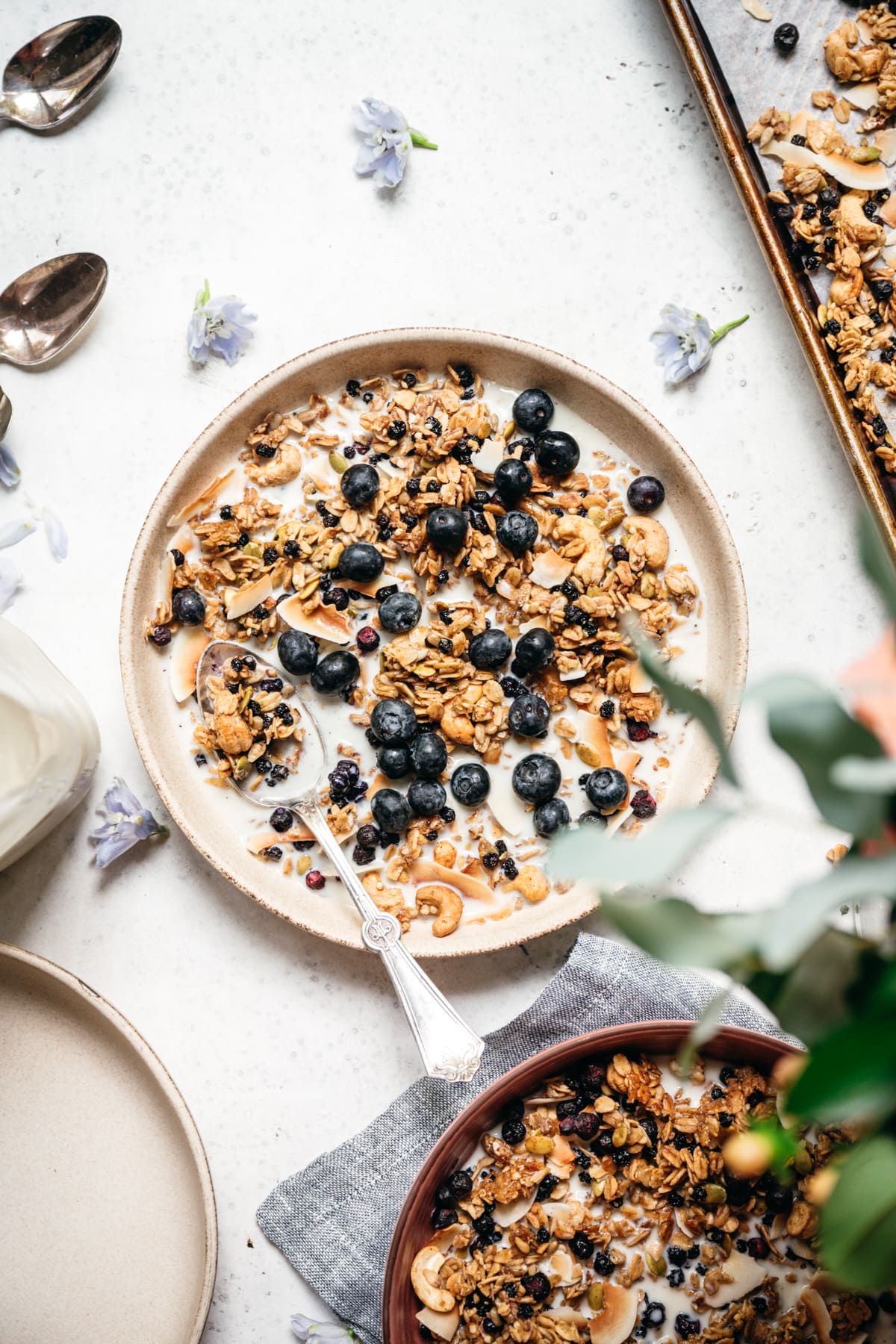 overhead view of blueberry lemon granola in a bowl with milk and blueberries