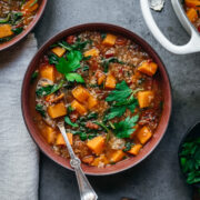 overhead view of quinoa vegetable soup with sweet potatoes in bowl with spoon.