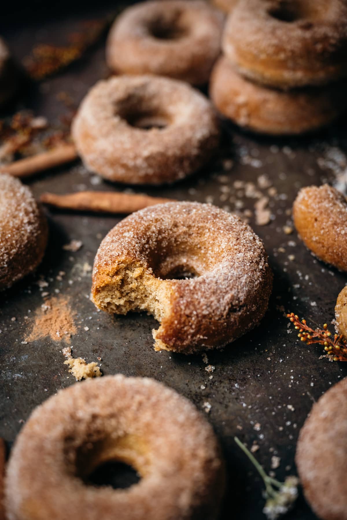 side view of a vegan baked apple cider donut with a bite taken out.
