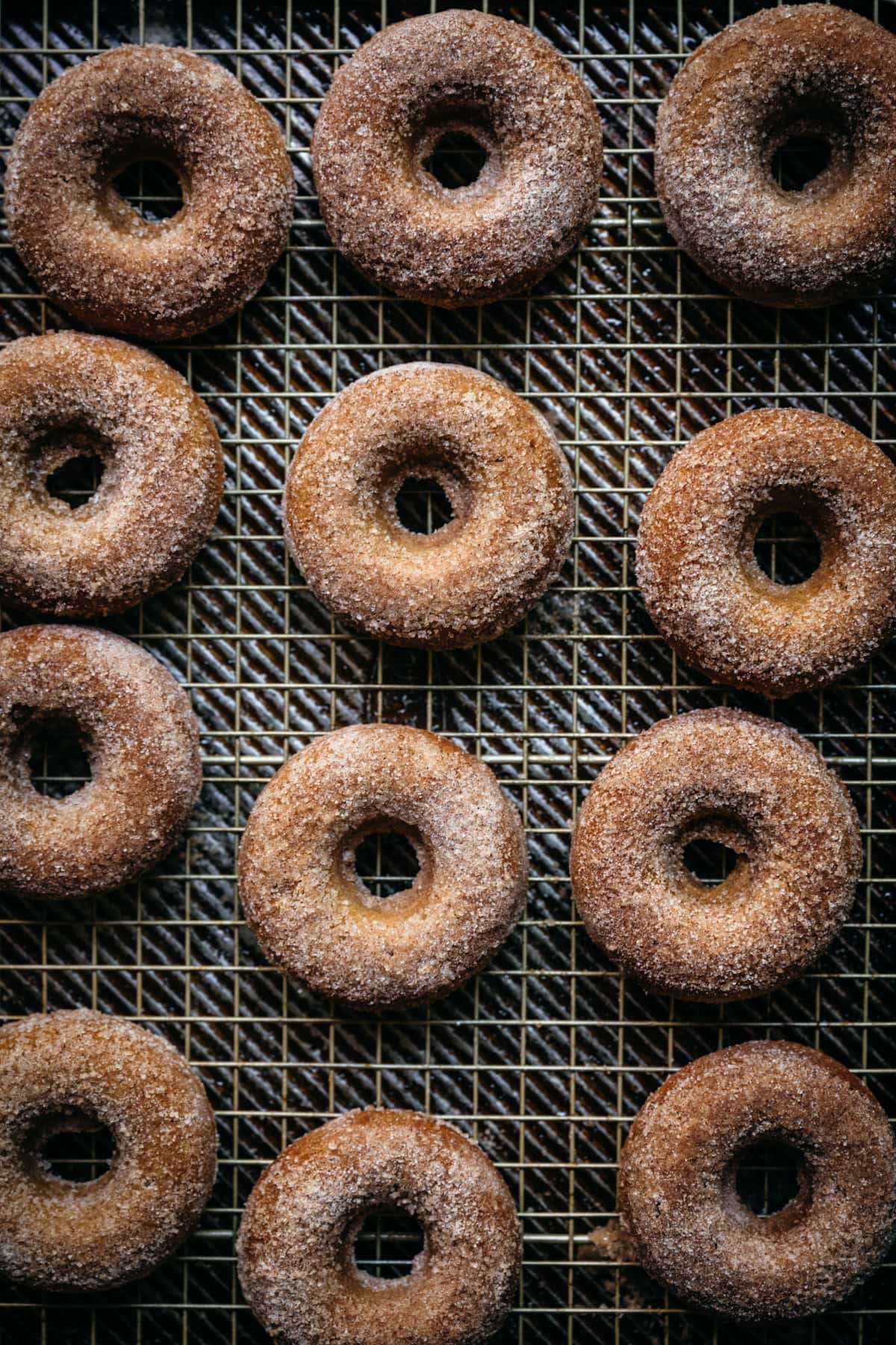 overhead view of vegan baked apple cider donuts with cinnamon sugar coating on a sheet pan.