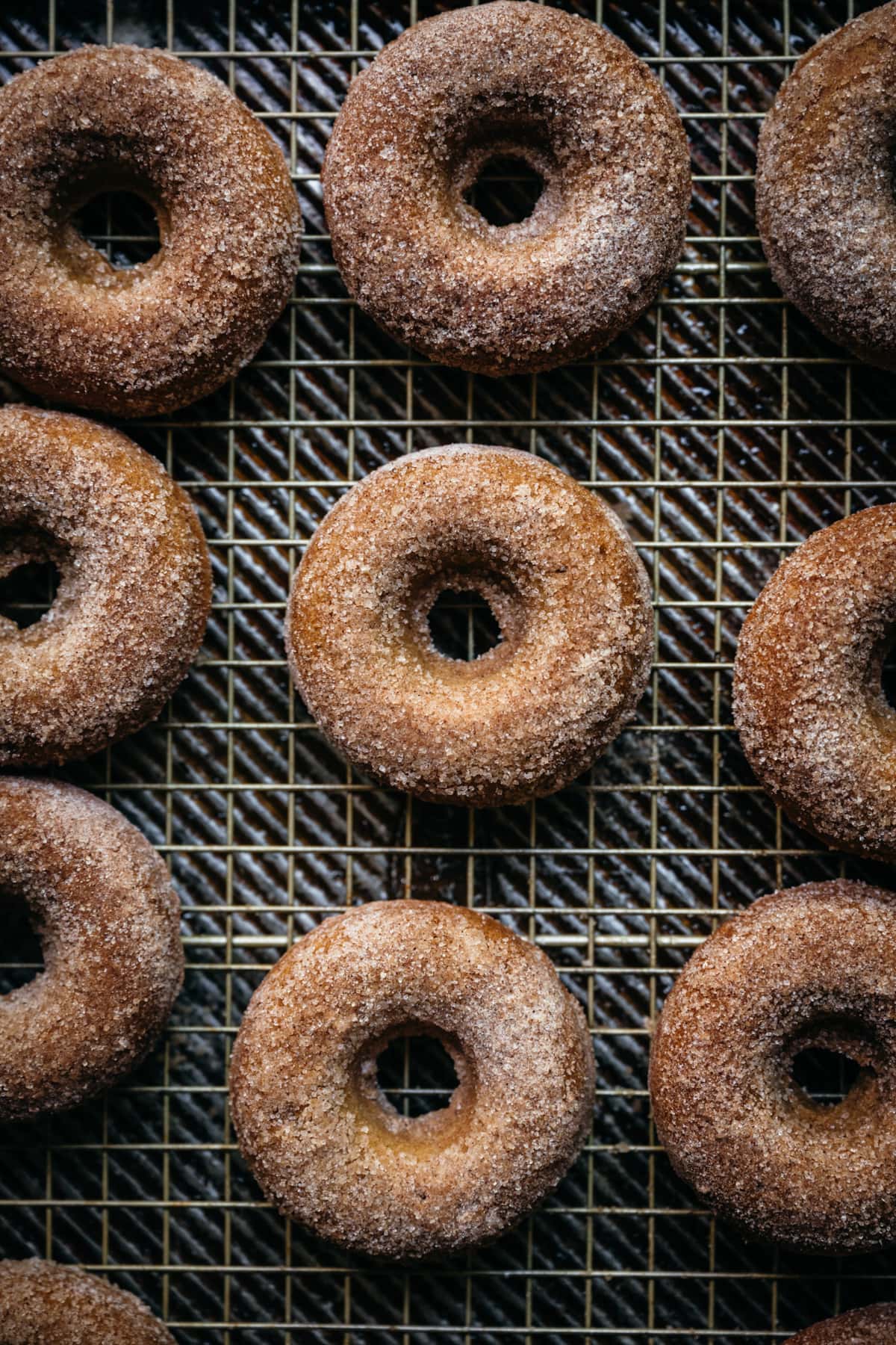 overhead view of vegan baked apple cider donuts with cinnamon sugar coating on a sheet pan.