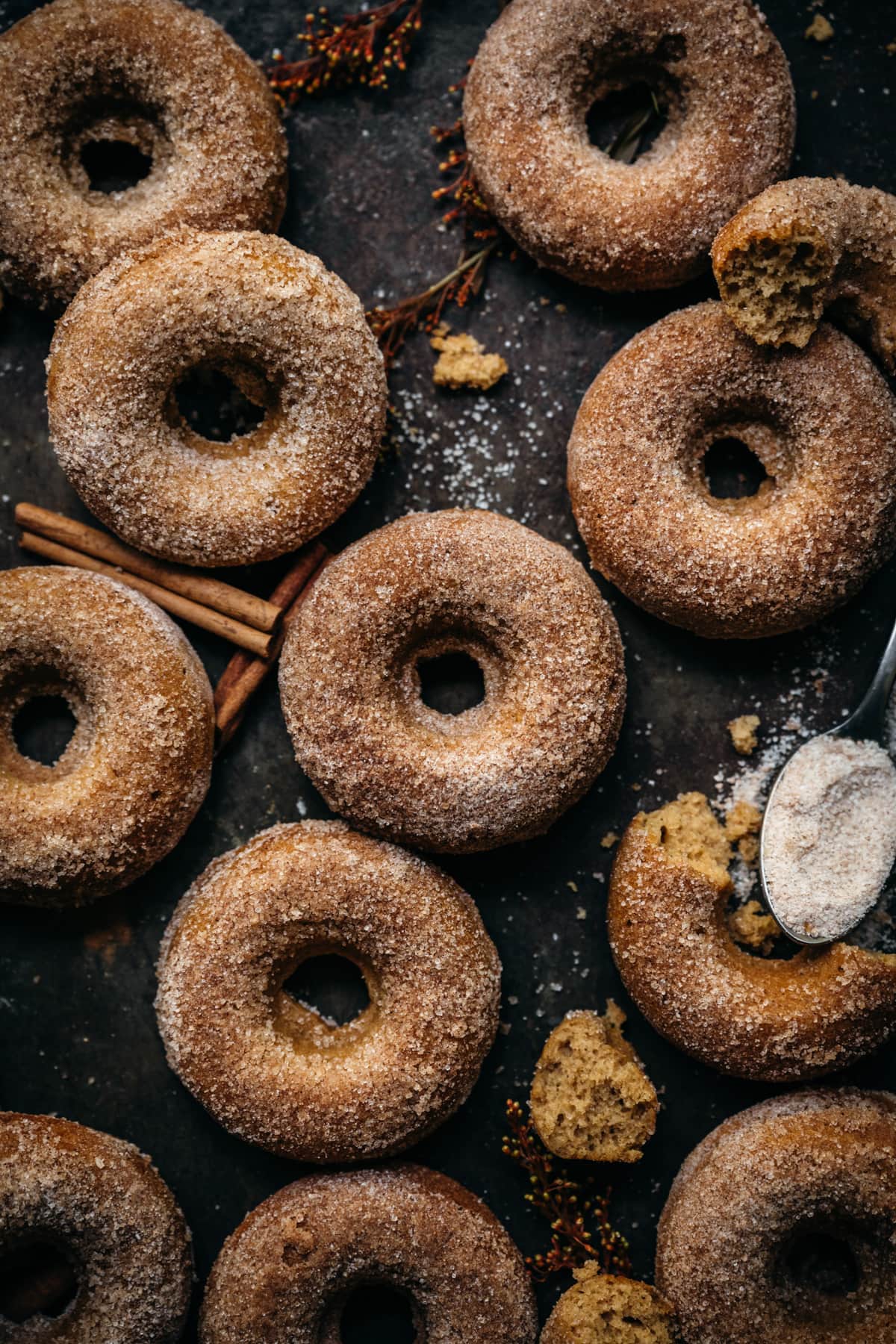 overhead view of vegan baked apple cider donuts with cinnamon sugar coating on a sheet pan.