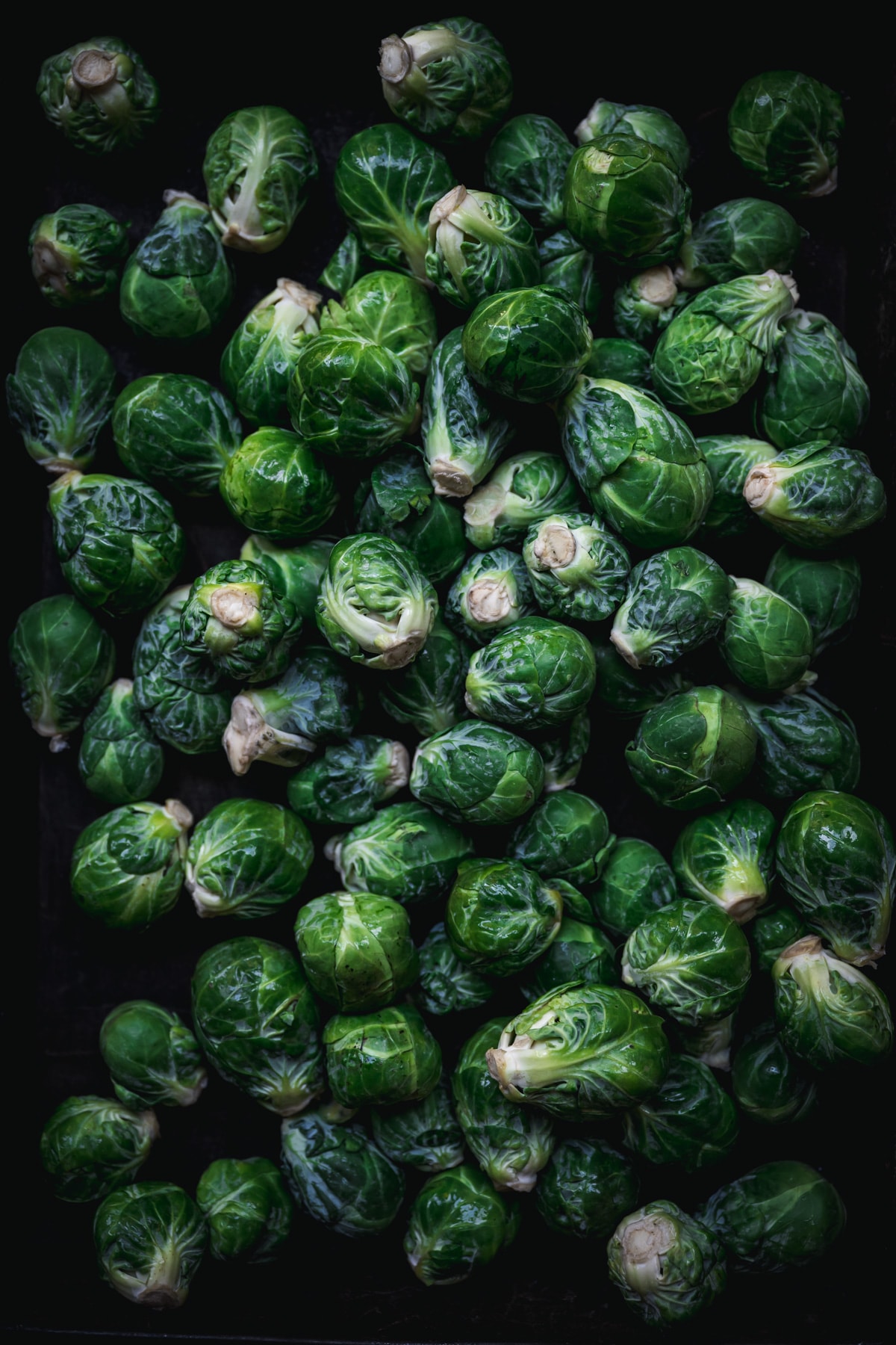 overhead view of raw brussels sprouts in a baking pan. 