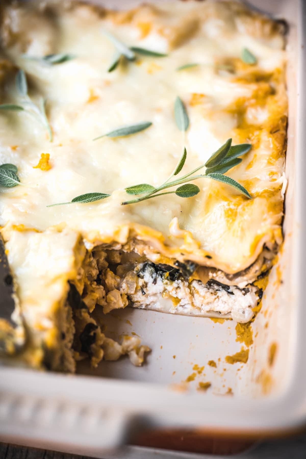 close up view of slice of vegan butternut squash lasagna with layer of ricotta and mushrooms/spinach.