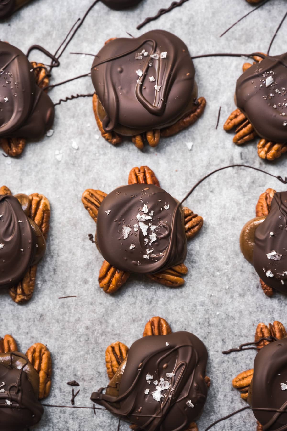 overhead view of vegan chocolate caramel pecan turtles on parchment paper.