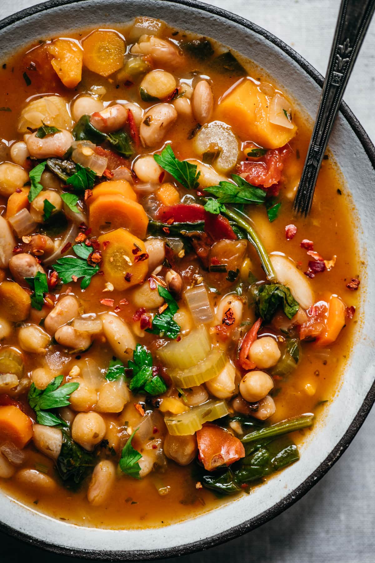 close up view of bean vegetable soup.