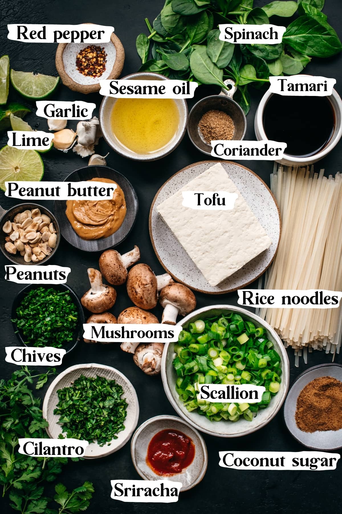 overhead view of ingredients for vegan pad thai with text labels.