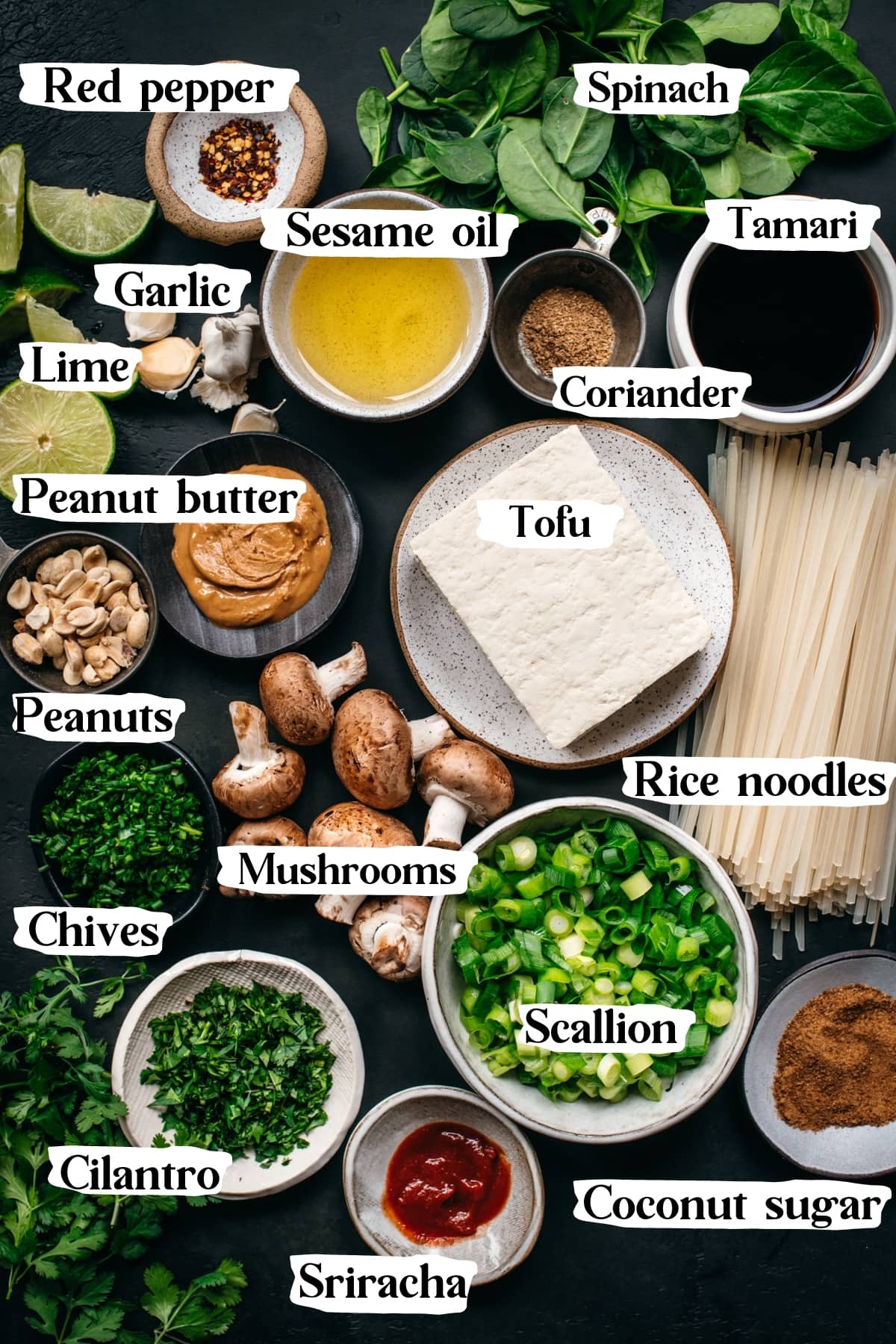 overhead view of ingredients for vegan pad thai with text labels. 