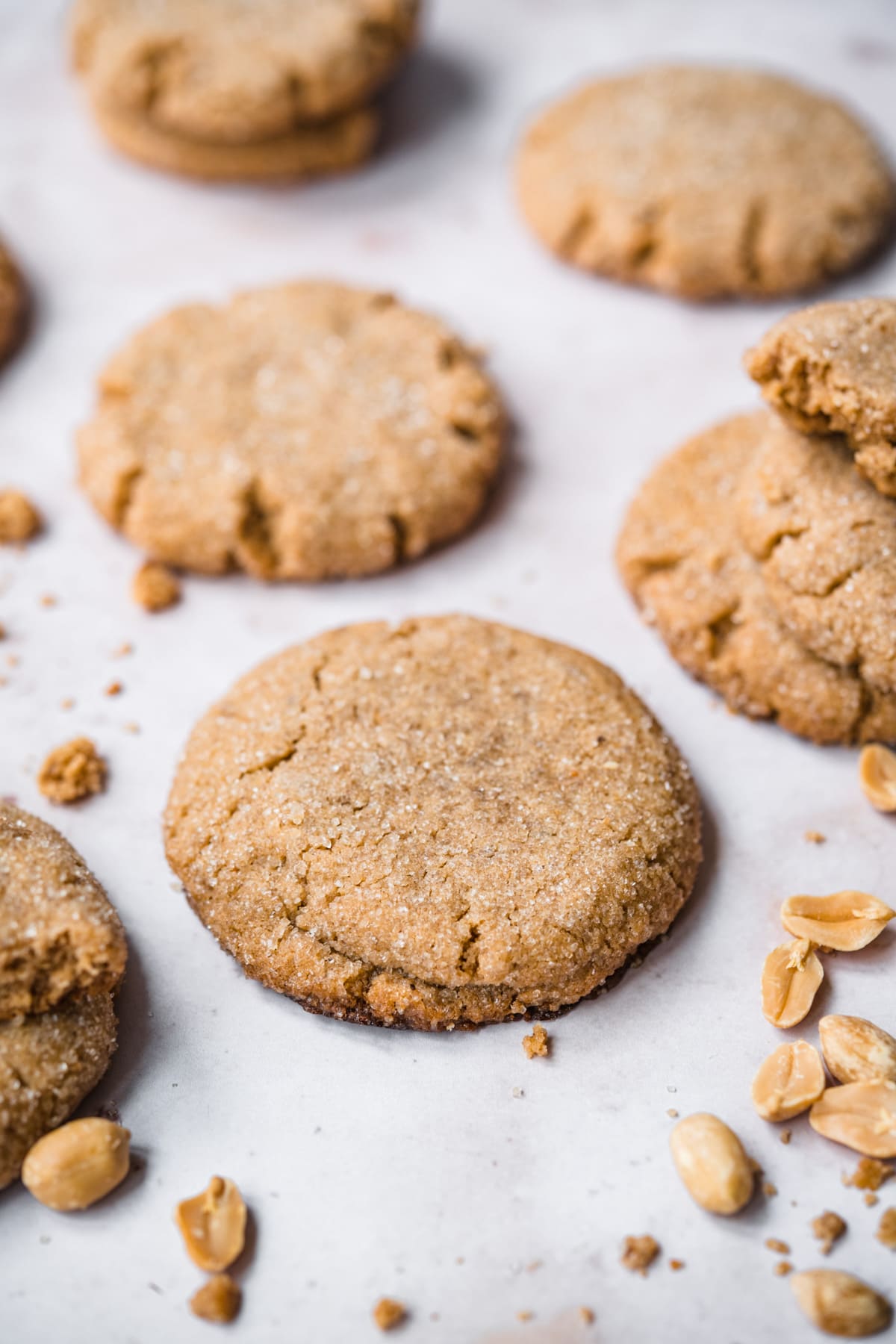 close up view of vegan peanut butter cookie. 