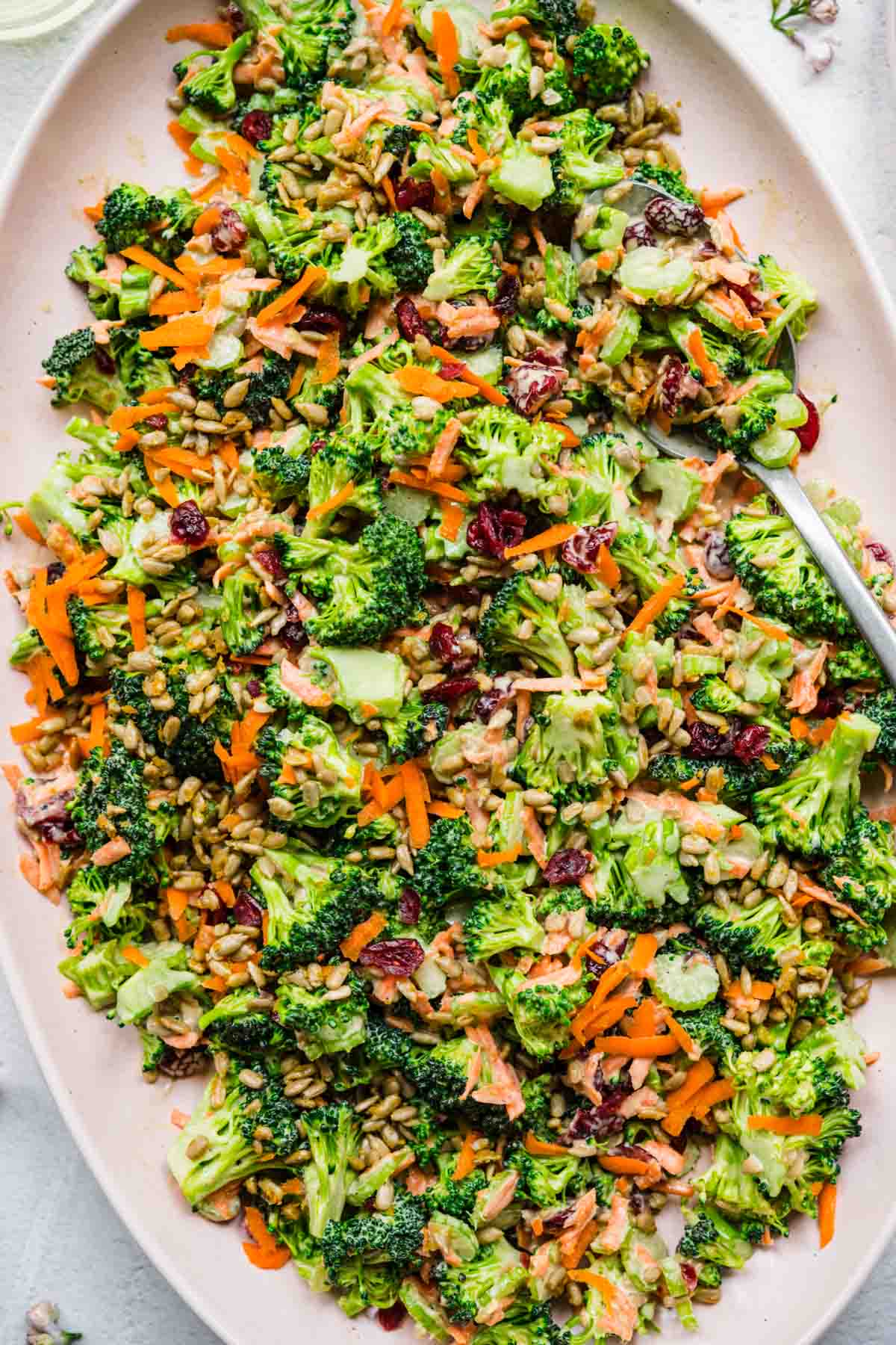 overhead view of vegan broccoli salad with cranberries and sunflower seeds on light pink platter. 