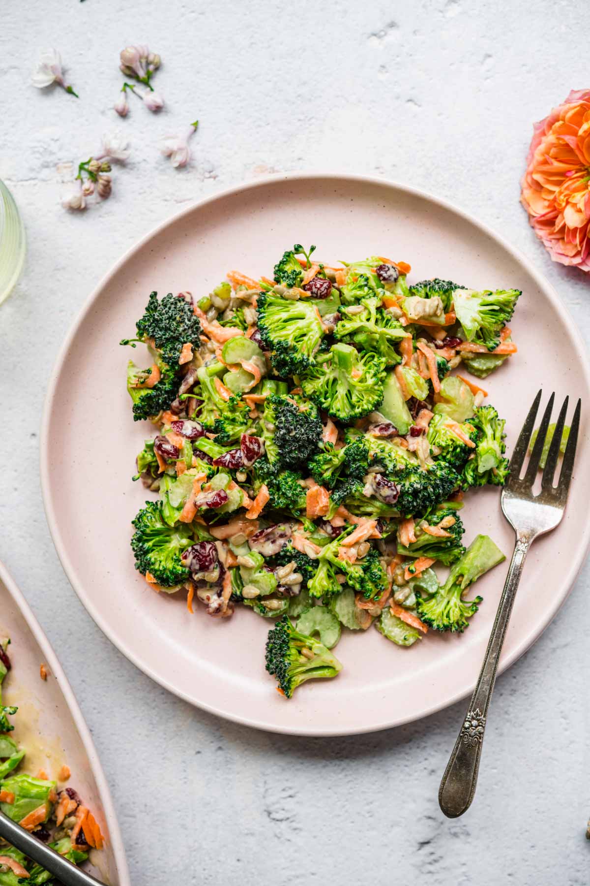 overhead view of vegan broccoli salad with cranberries and sunflower seeds on light pink plate.