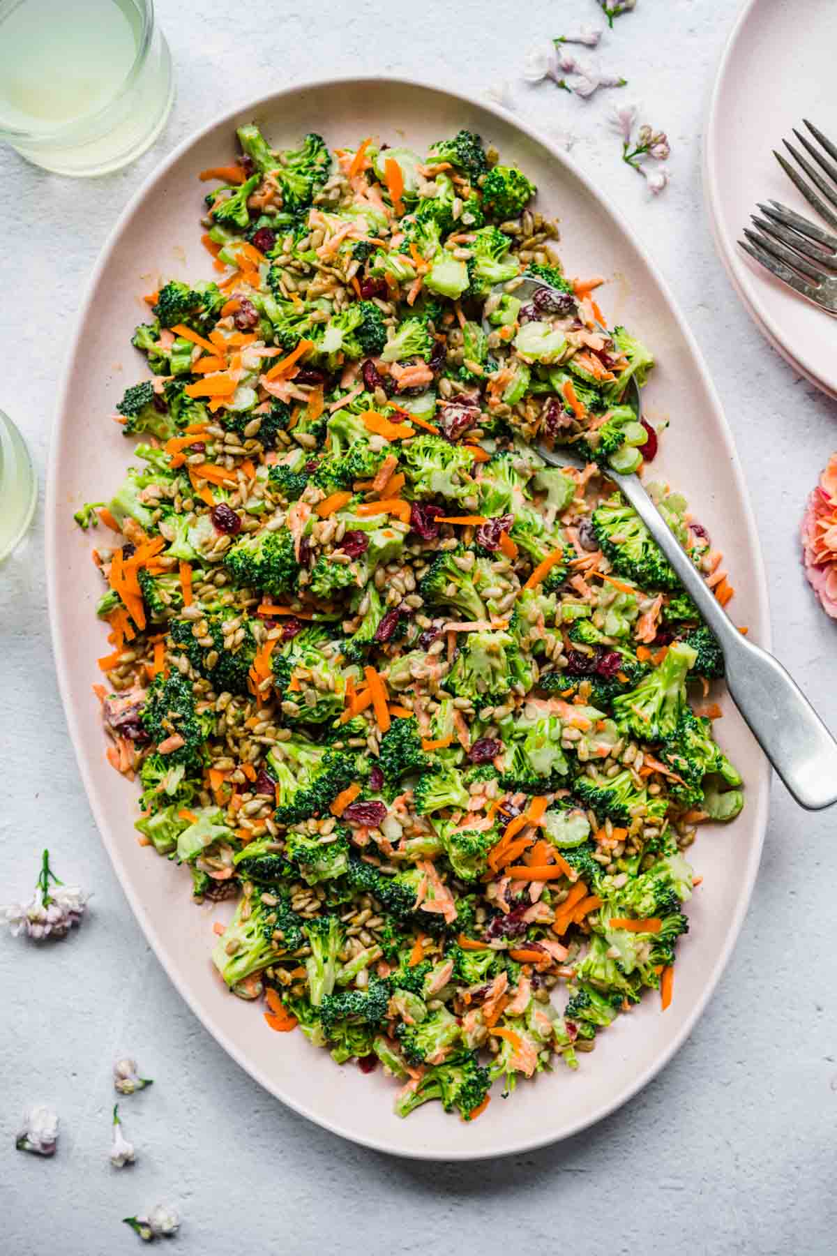 overhead view of vegan broccoli salad with cranberries and sunflower seeds on light pink platter. 