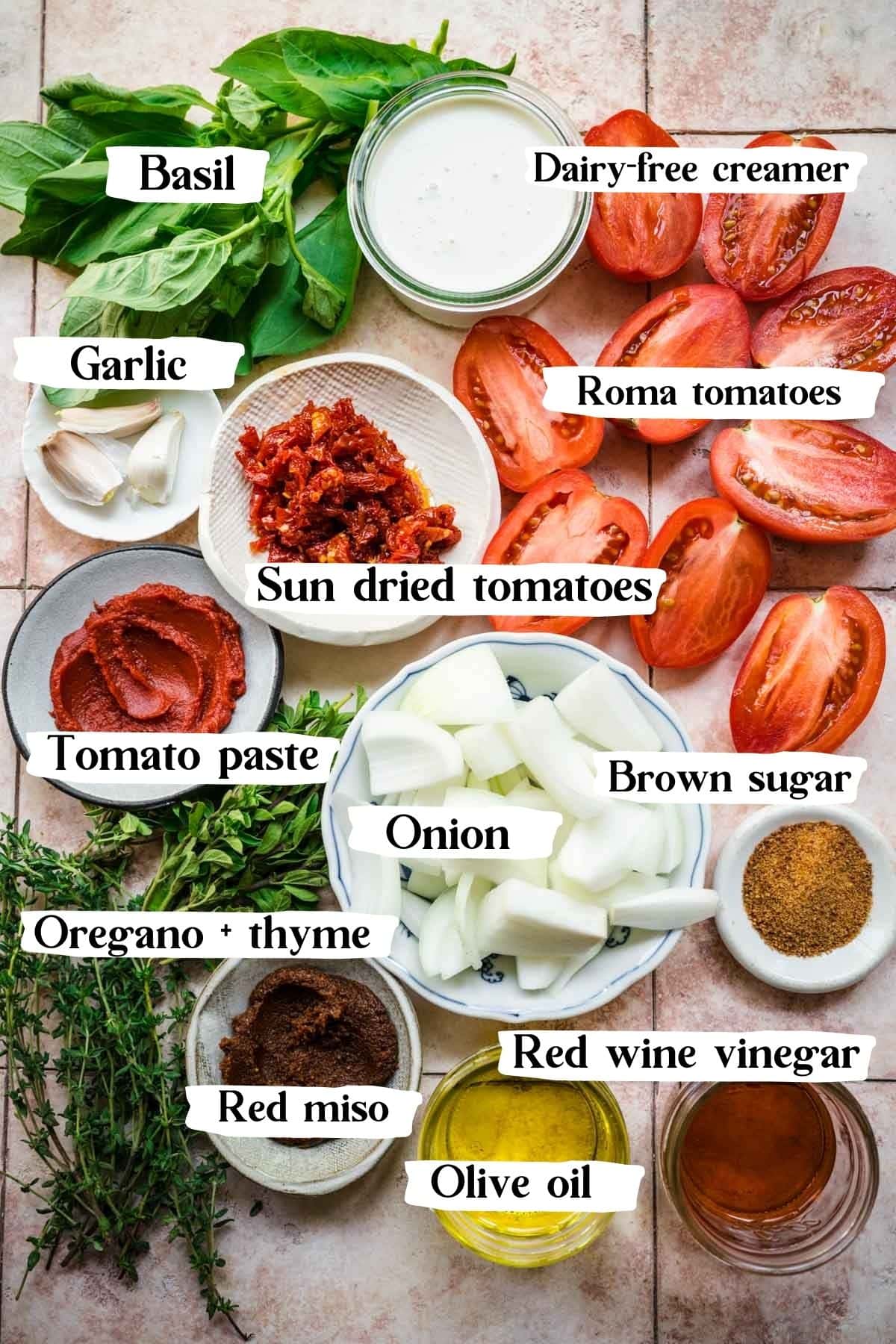 Shot of all the ingredients needed to make this dish, including tomatoes, onion, etc.