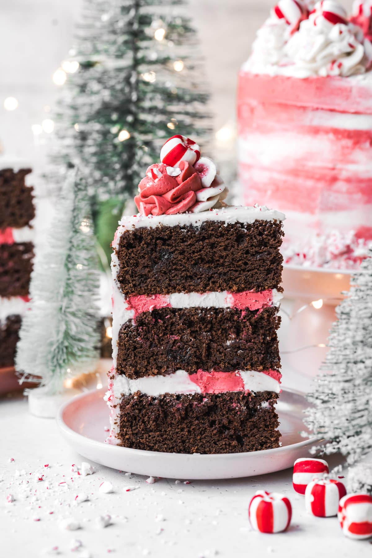 Close up view of slice of vegan chocolate peppermint cake on a plate. 
