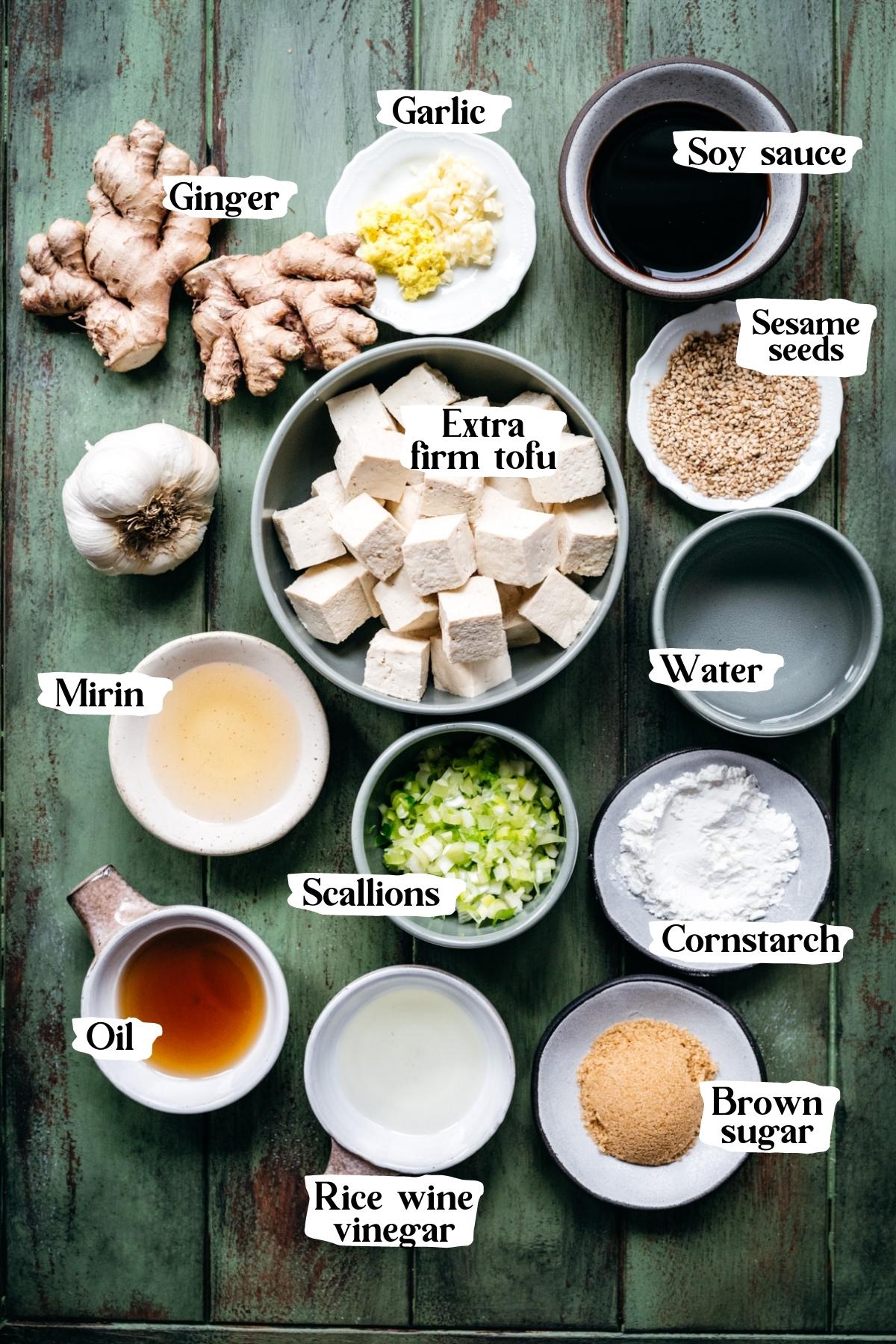 Overhead view of teriyaki tofu ingredients, including scallions, tofu, and mirin.