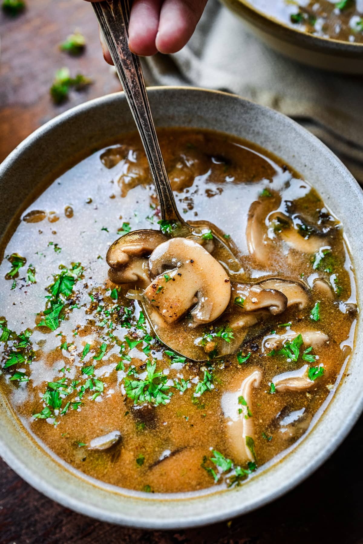 Close up of spoon with mushroom in it in the soup.