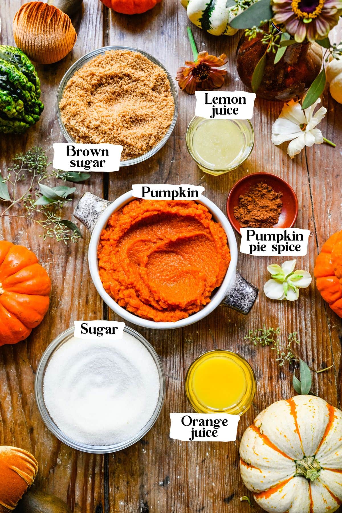 Overhead of pumpkin butter ingredients including pumpkin and sugar.